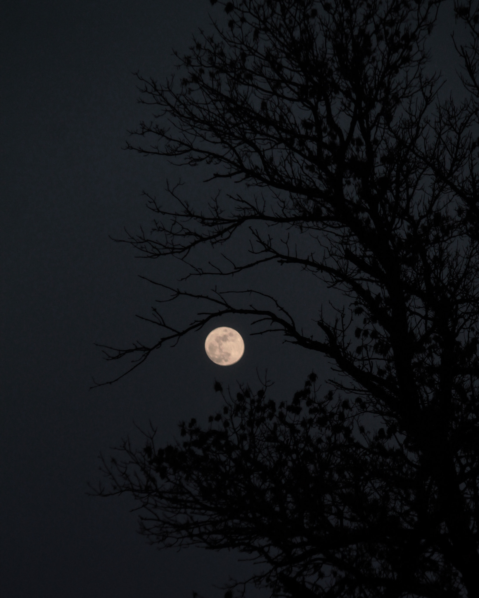 Canon EF-S 55-250mm F4-5.6 IS sample photo