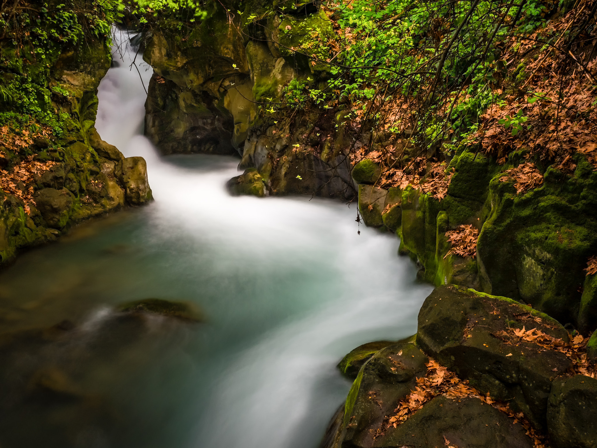 Panasonic Lumix DMC-GX8 sample photo. The river photography