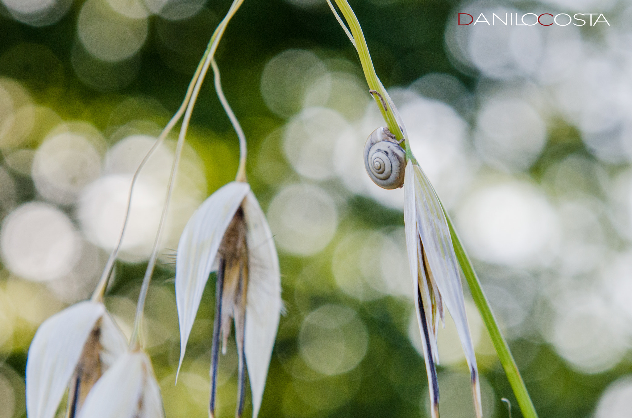 Nikon AF-S Nikkor 24-70mm F2.8G ED sample photo. Dsc photography