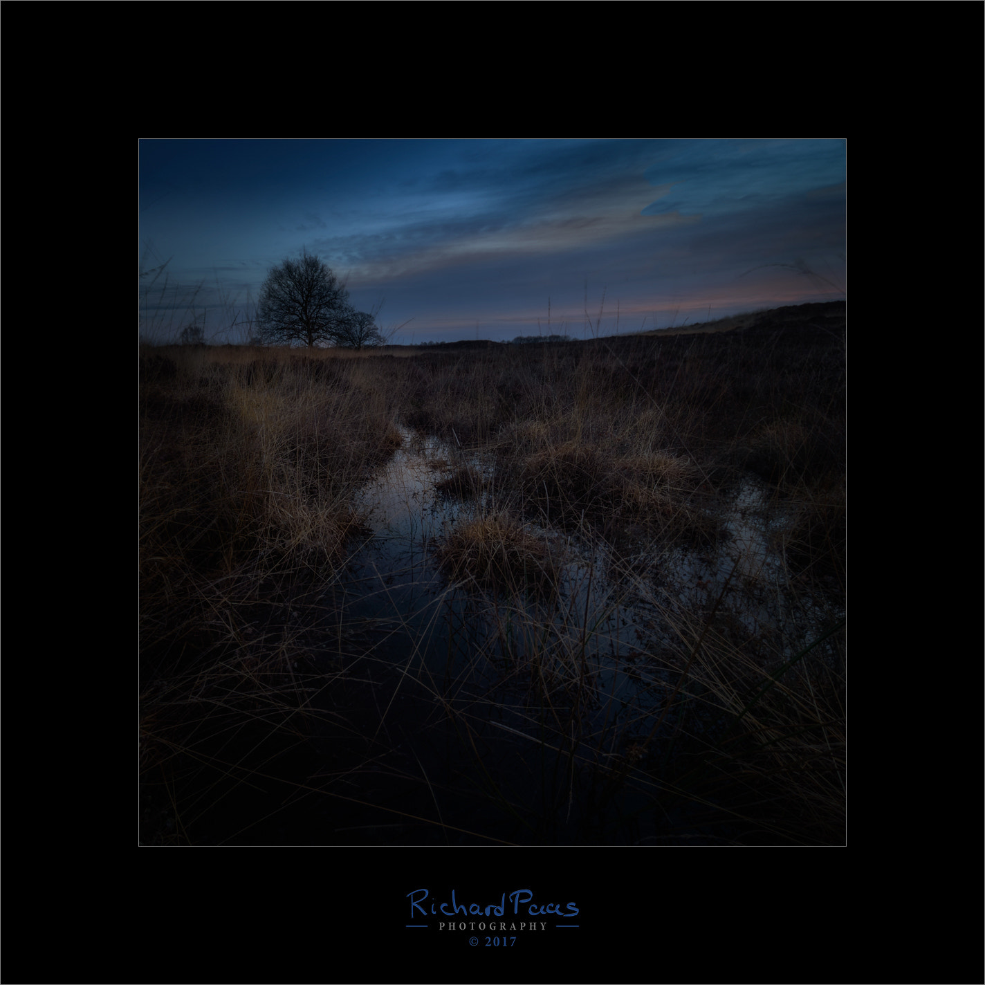 Olympus M.Zuiko Digital ED 7-14mm F2.8 PRO sample photo. Sunrise gasterse duinen #2 photography