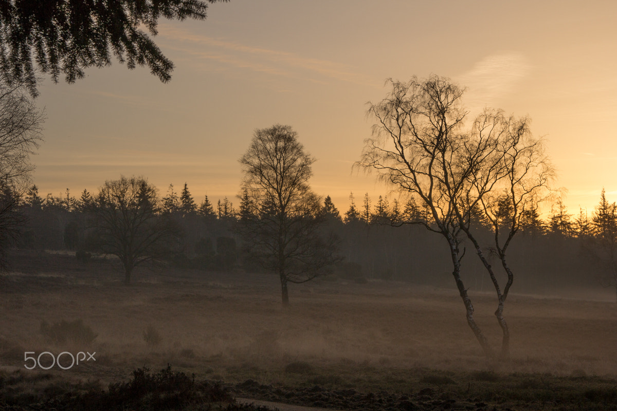 Canon EOS 60D sample photo. Sunrise at loenermark photography