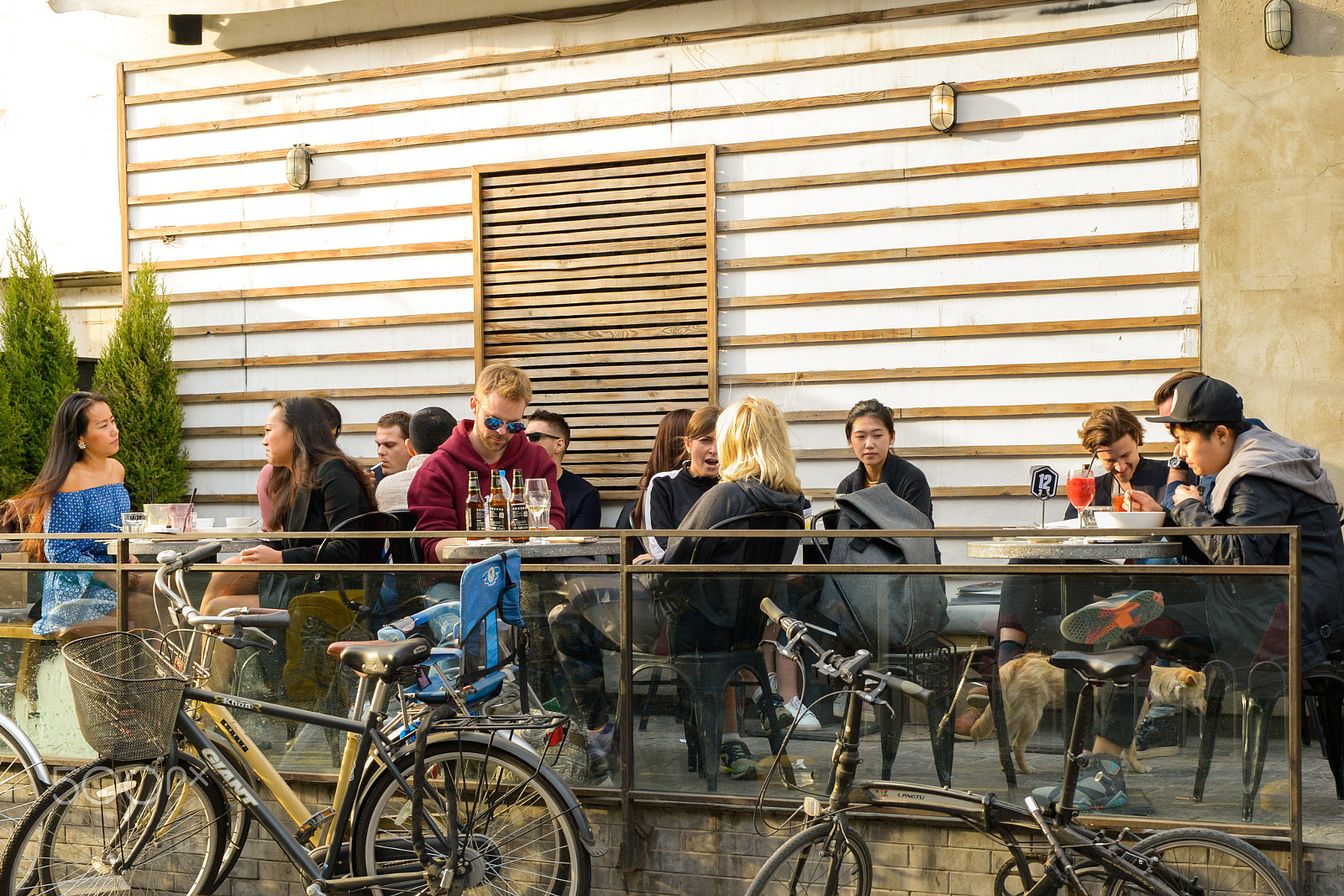 Nikon Df + Sigma 50mm F1.4 DG HSM Art sample photo. Sitting outside dinner guests photography