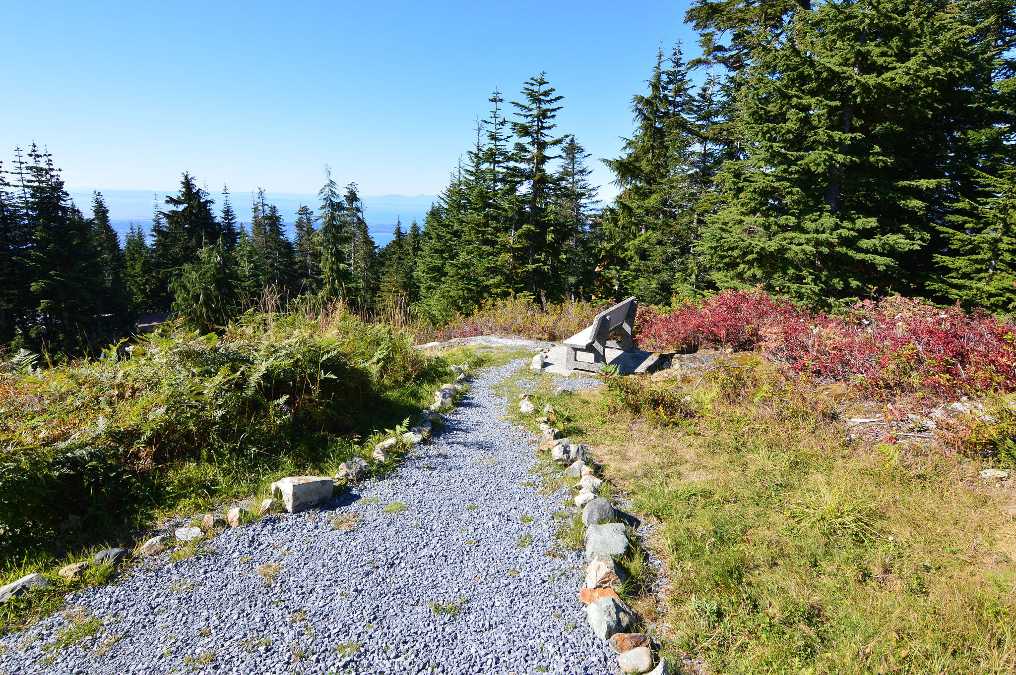 Nikon D3200 sample photo. Picturesvancouverluss photography