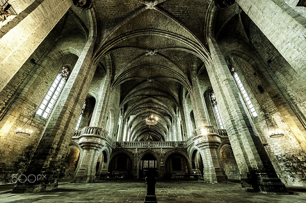 Nikon AF-S Nikkor 14-24mm F2.8G ED sample photo. La chaise dieu photography