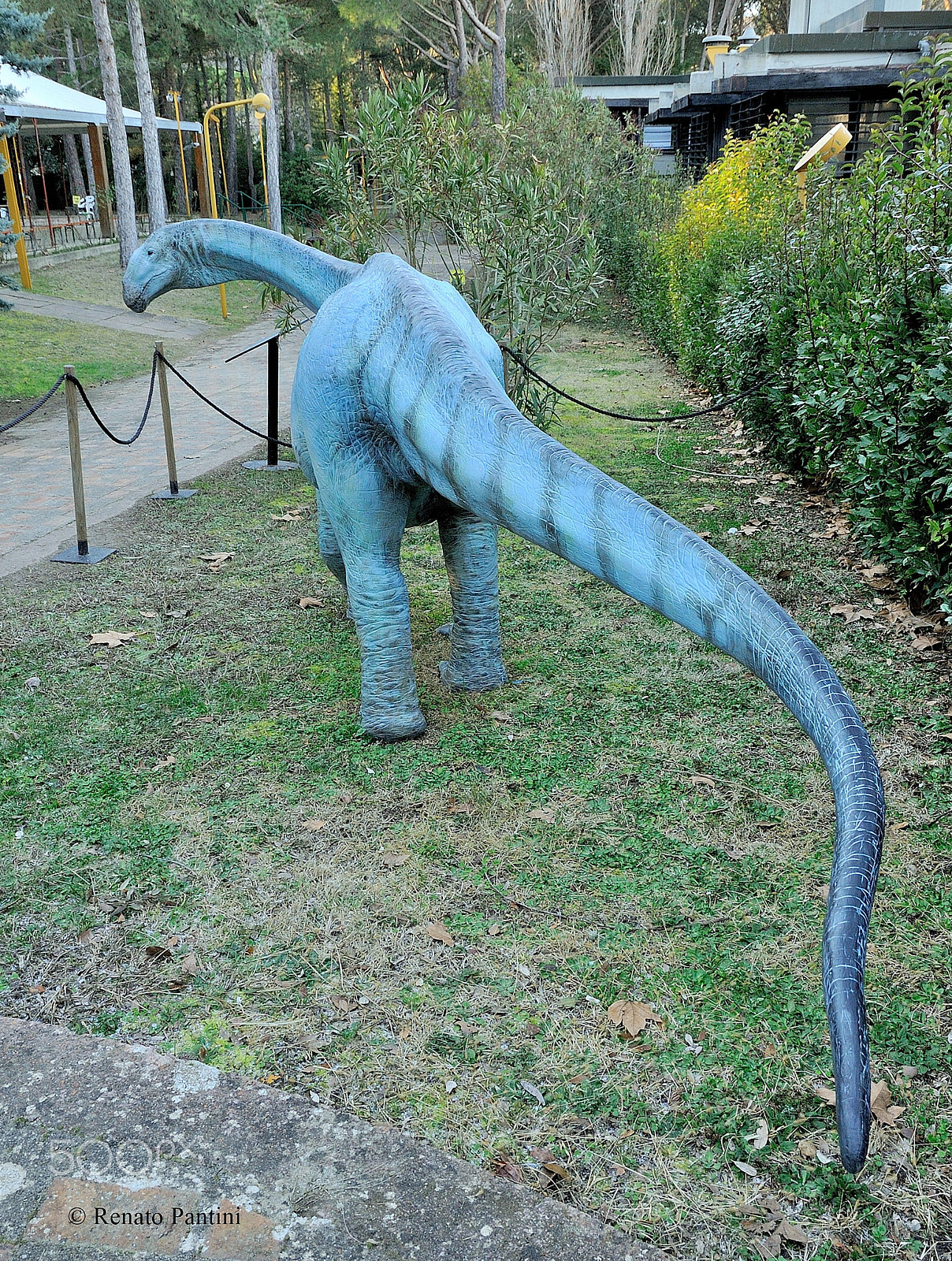 Nikon D300S sample photo. Italian titanosaur "tito". photography