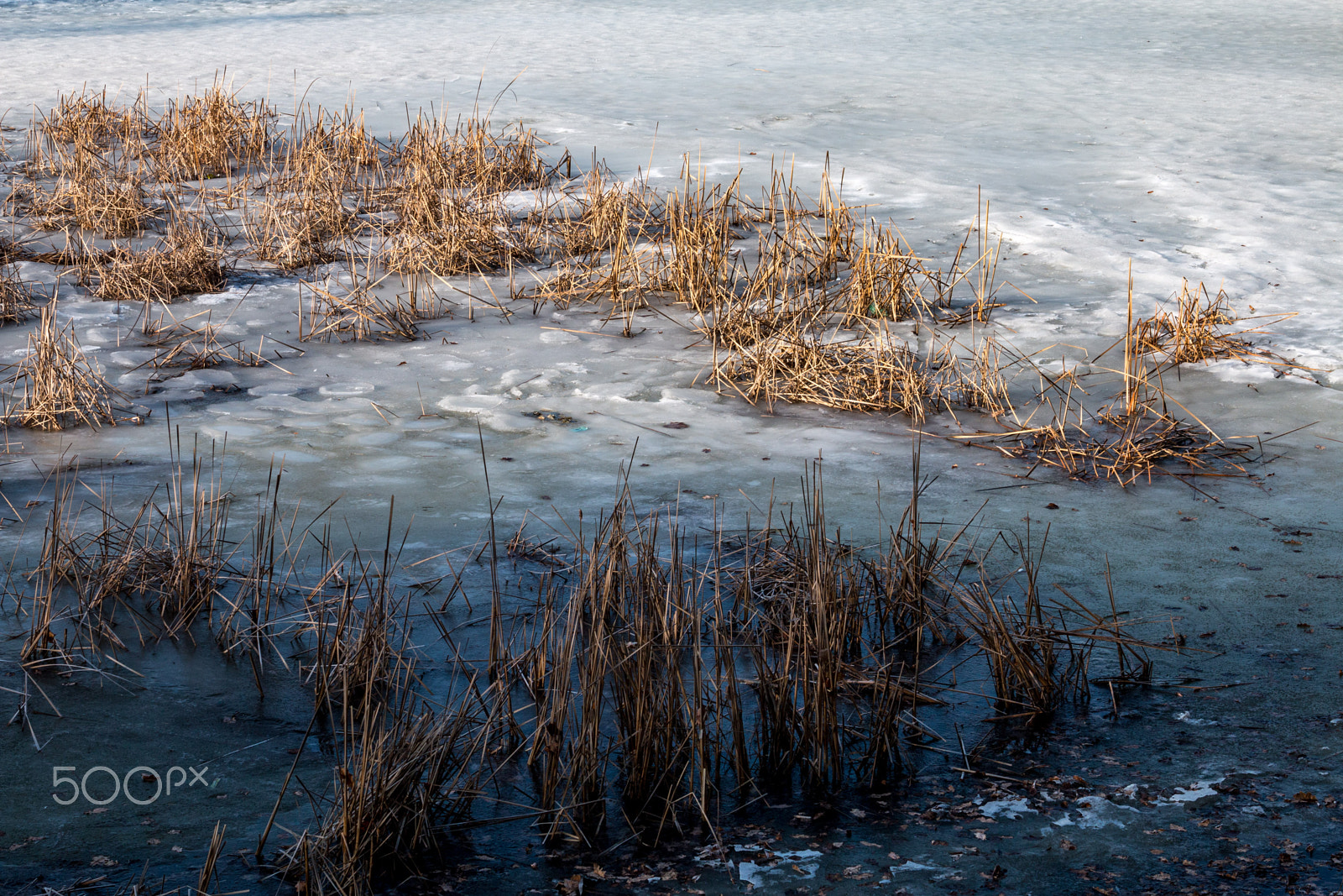 Canon EF 28-135mm F3.5-5.6 IS USM sample photo. пруд photography