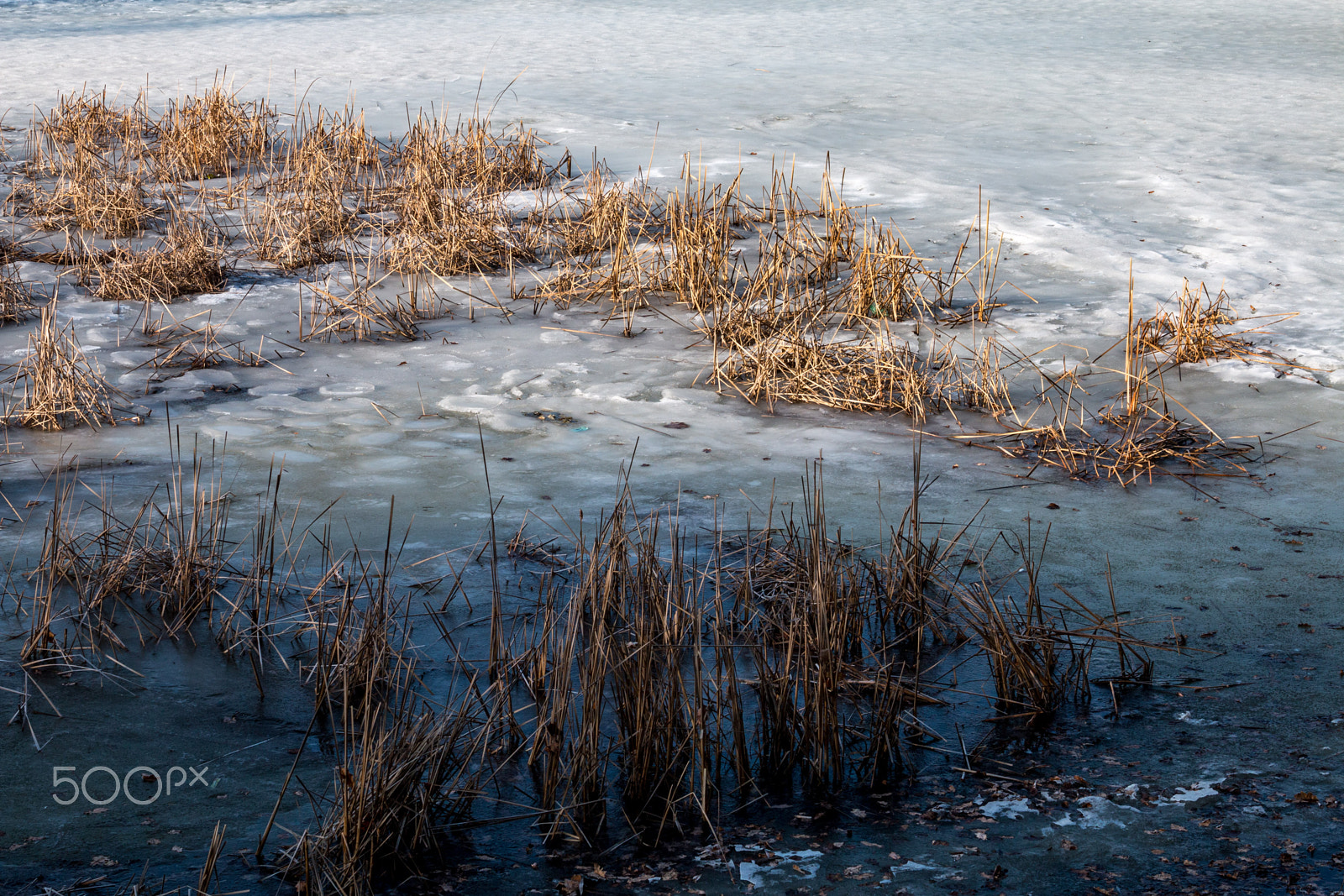 Canon EOS 70D + Canon EF 28-135mm F3.5-5.6 IS USM sample photo. пруд photography