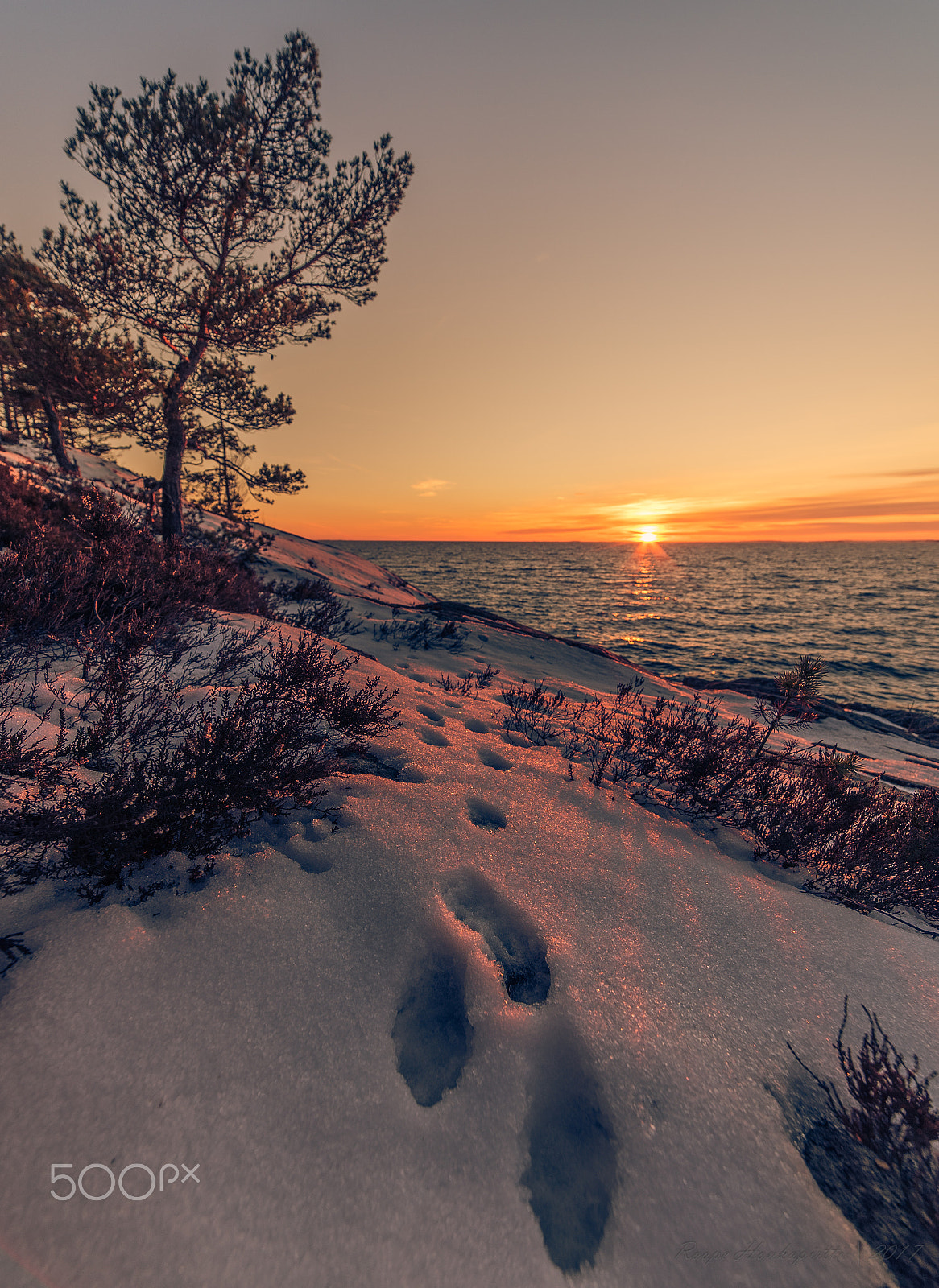 Samyang 14mm F2.8 ED AS IF UMC sample photo. Sunset path photography