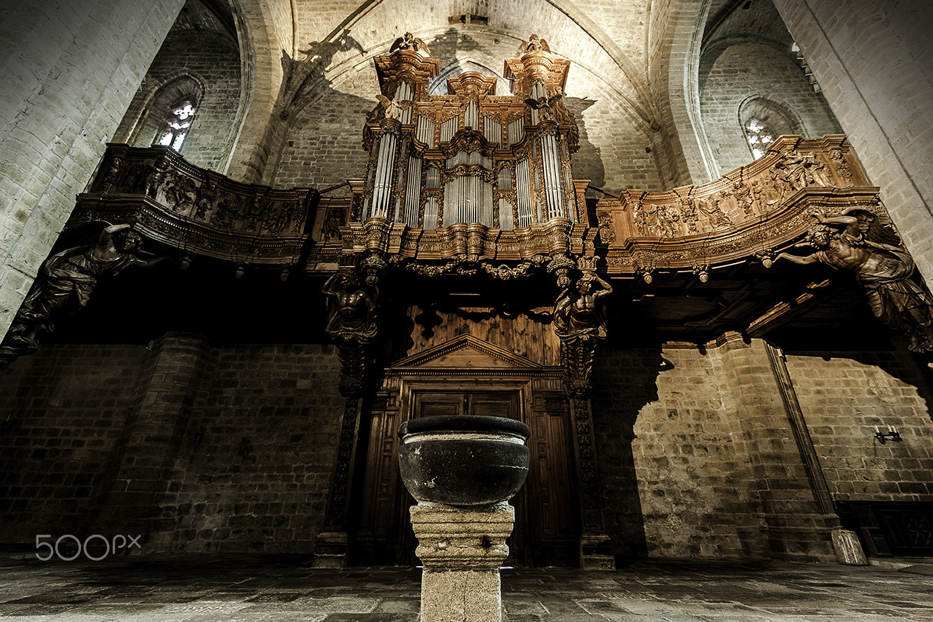 Nikon AF-S Nikkor 14-24mm F2.8G ED sample photo. Les grandes orgues - chaise dieu photography