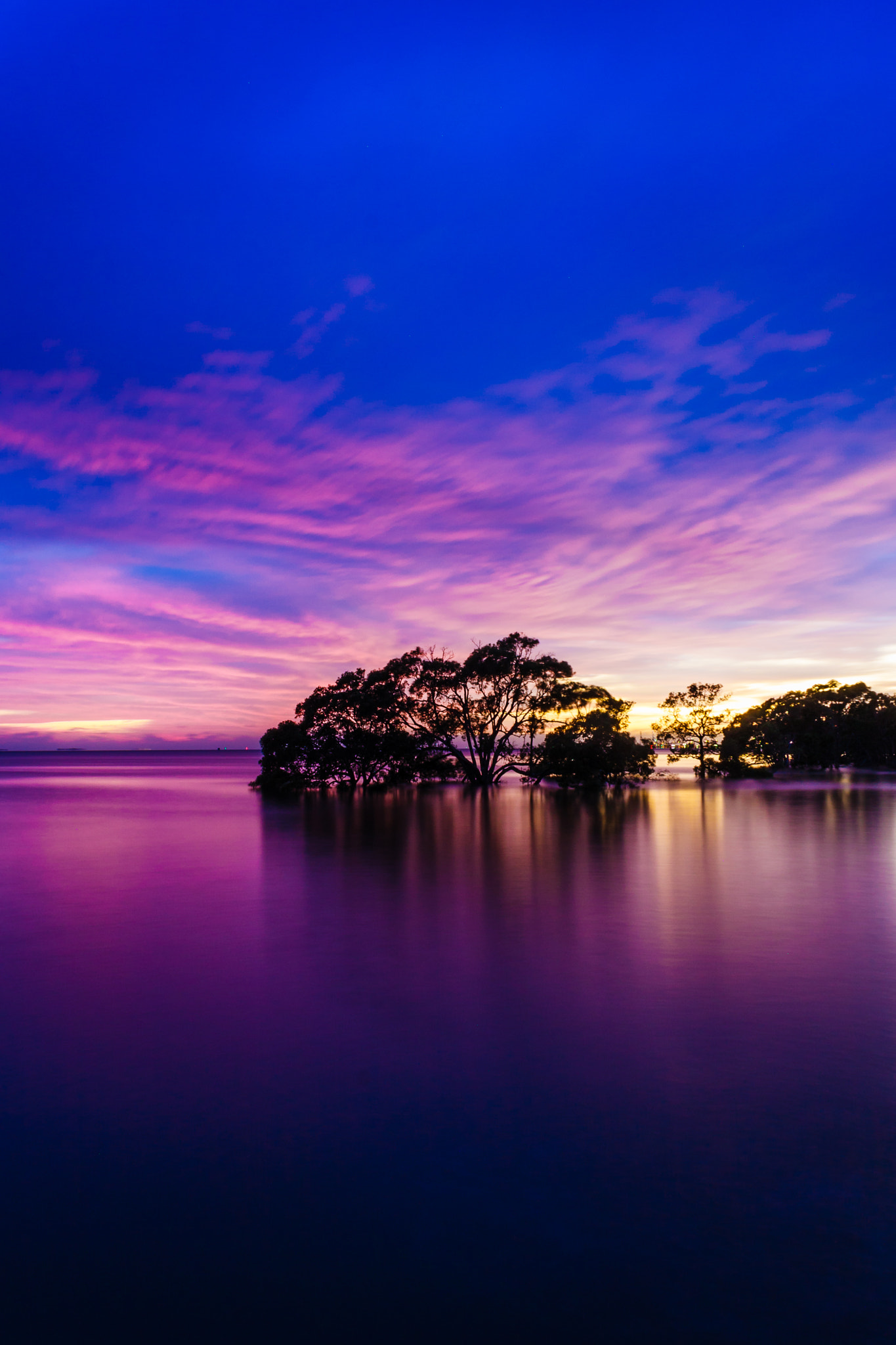 Canon EF-S 18-55mm F3.5-5.6 IS sample photo. Mangrove tree morning reflections photography