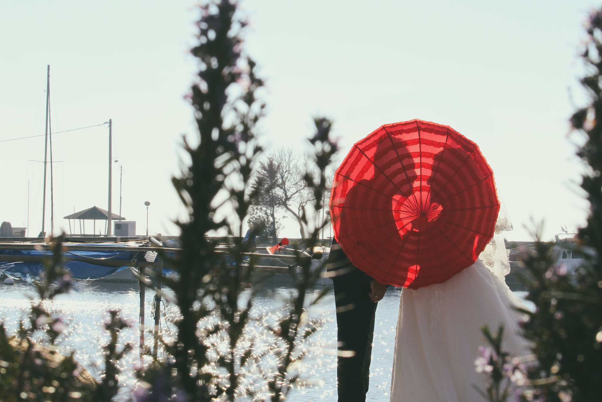 Canon EOS 7D + Canon EF 70-200mm F4L IS USM sample photo. Ror photography photography