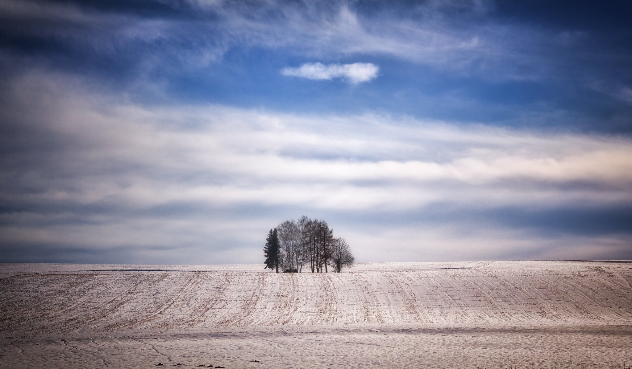 Sigma 18-200mm f/3.5-6.3 DC OS sample photo. Isolation in white photography