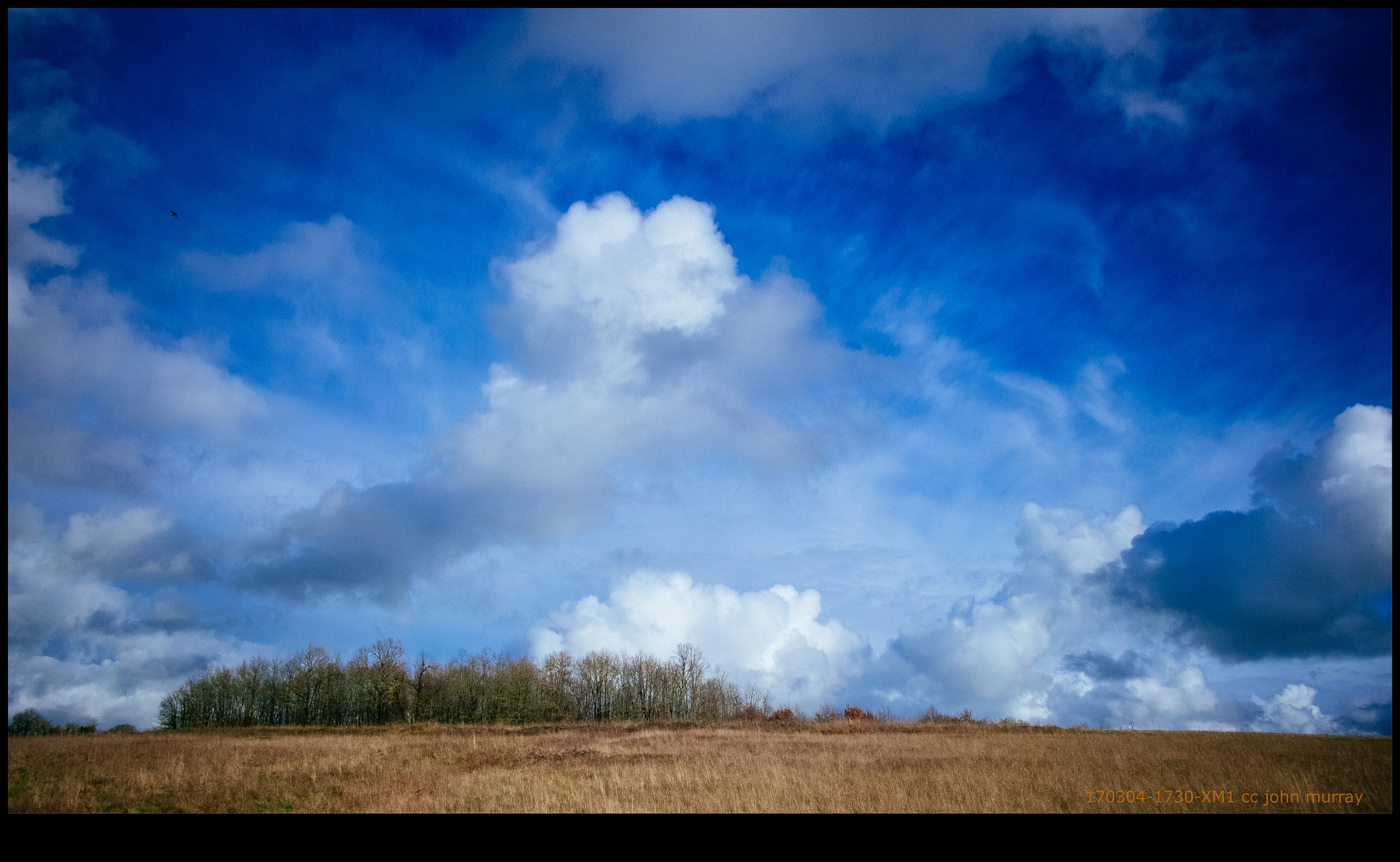 Fujifilm X-M1 + Fujifilm XF 18mm F2 R sample photo. 170304-1730-xm1.raf photography