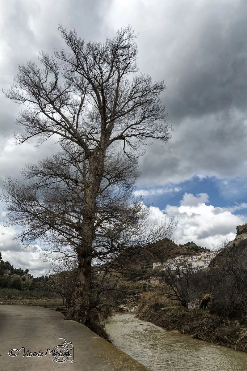 Samyang 14mm F2.8 ED AS IF UMC sample photo. Rio villahermosa photography