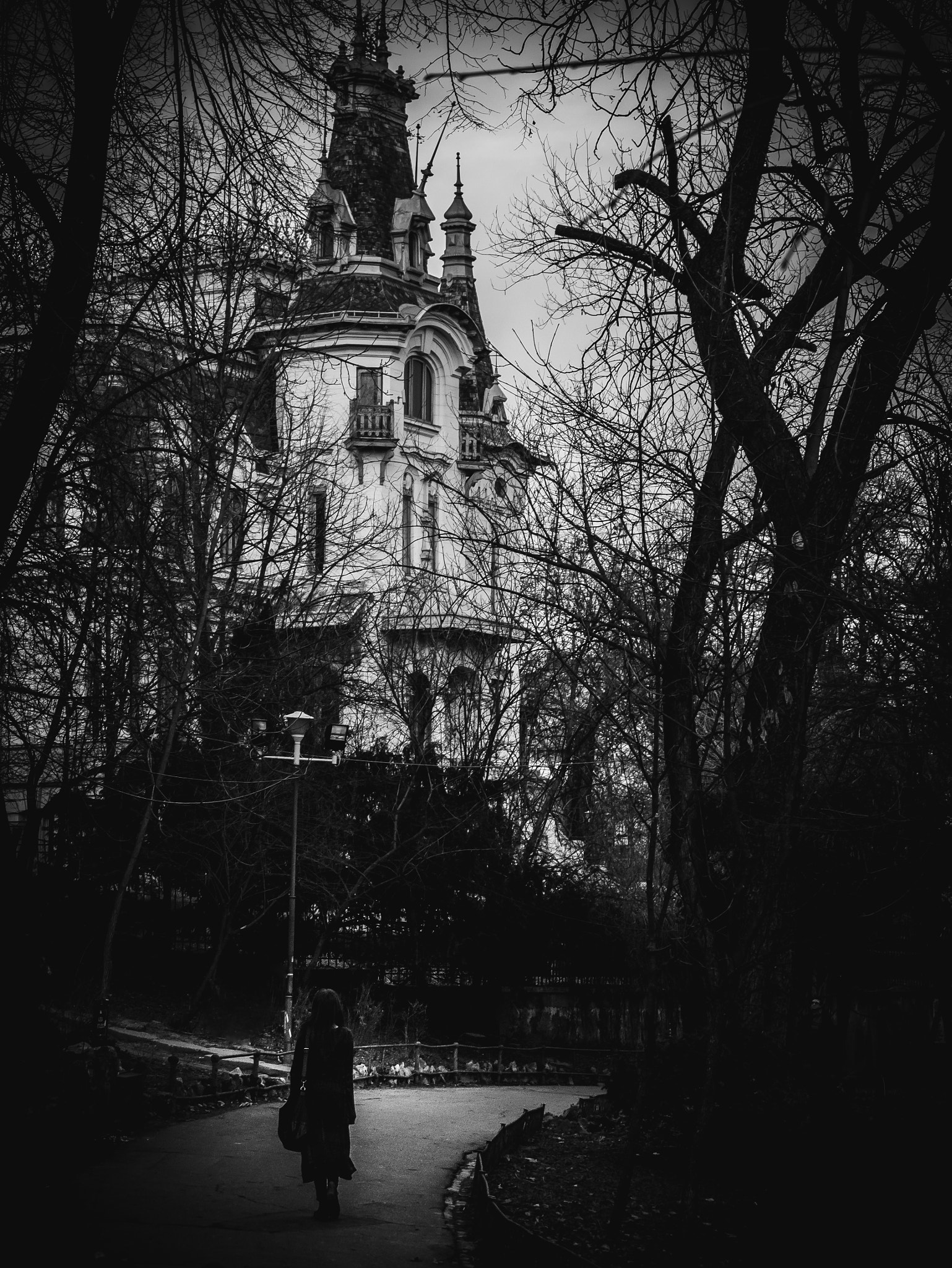 Panasonic Lumix DMC-G7 sample photo. Castle in the park photography