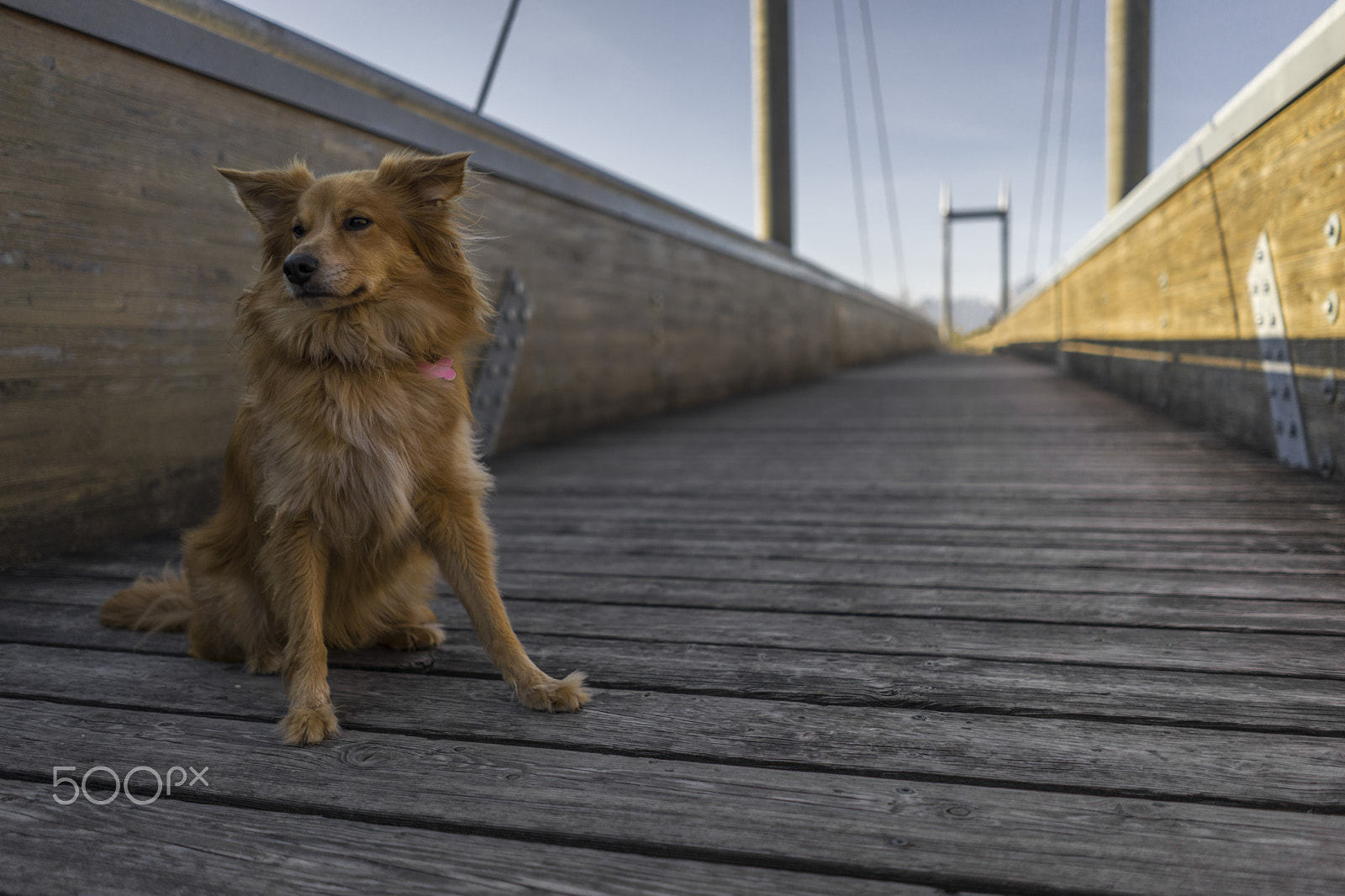 Sony a7 + Sony FE 28mm F2 sample photo. Zoe sul ponte photography