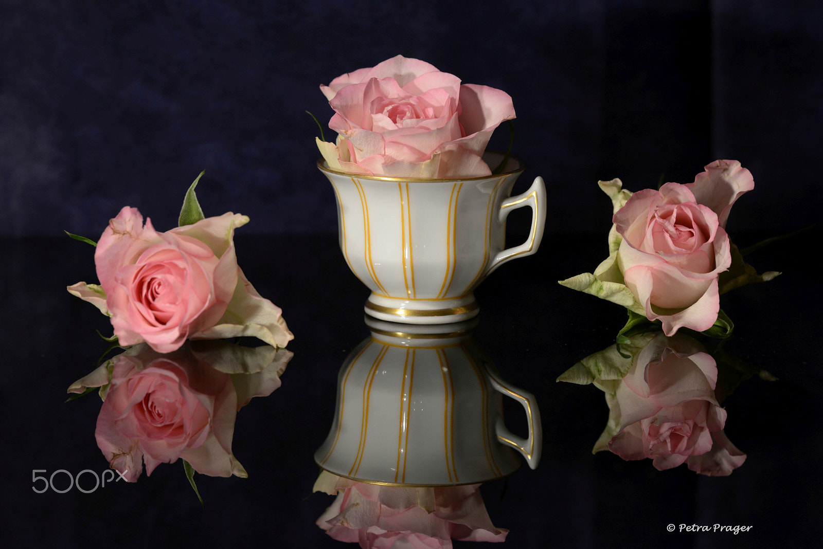 Sigma 150mm F2.8 EX DG OS Macro HSM sample photo. Cup with roses photography