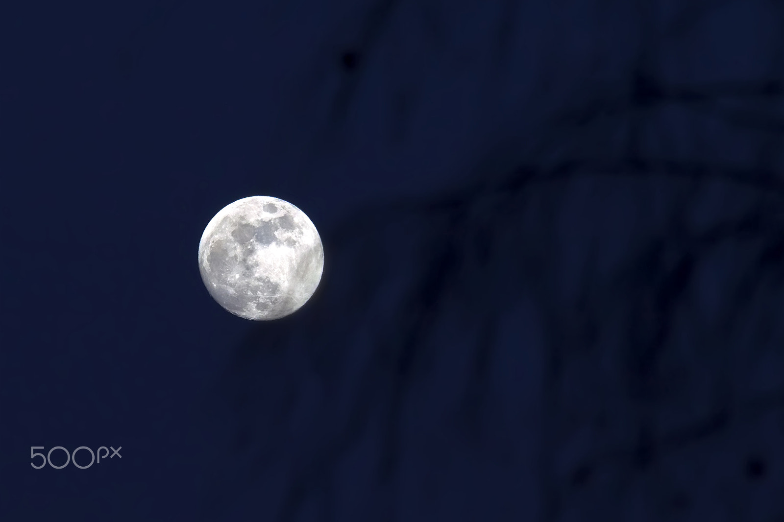 Canon EOS 500D (EOS Rebel T1i / EOS Kiss X3) + Canon EF 70-300mm F4-5.6 IS USM sample photo. Full moon over birch branches photography