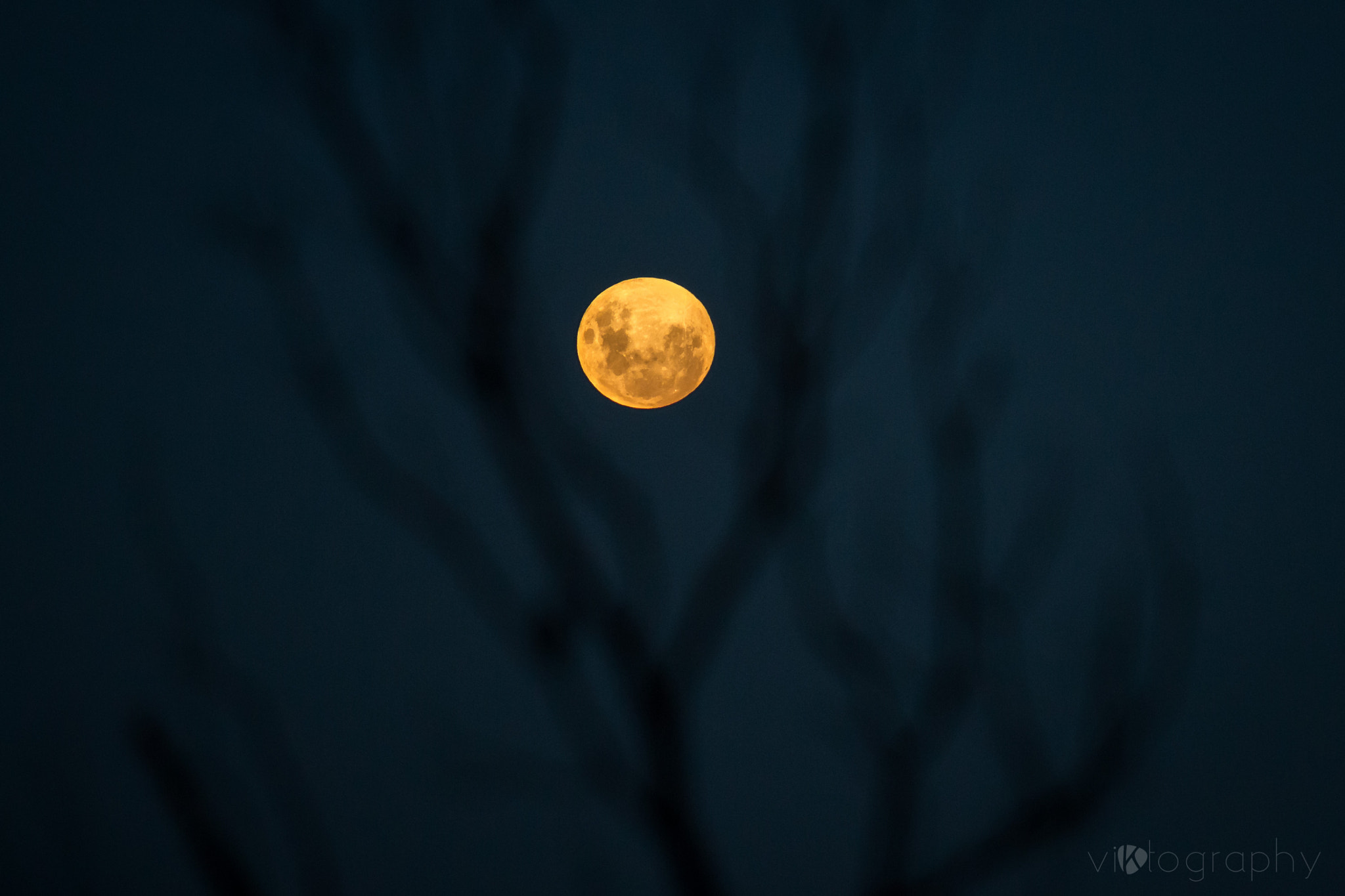 Canon EF 70-200mm F2.8L USM sample photo. Moonrise photography