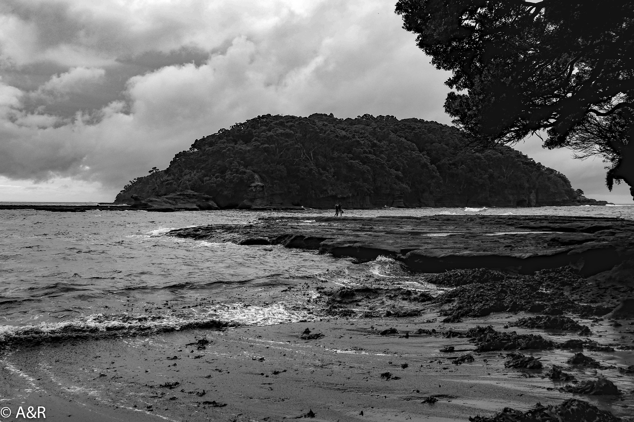 Panasonic Lumix DMC-GX8 sample photo. Goat island photography