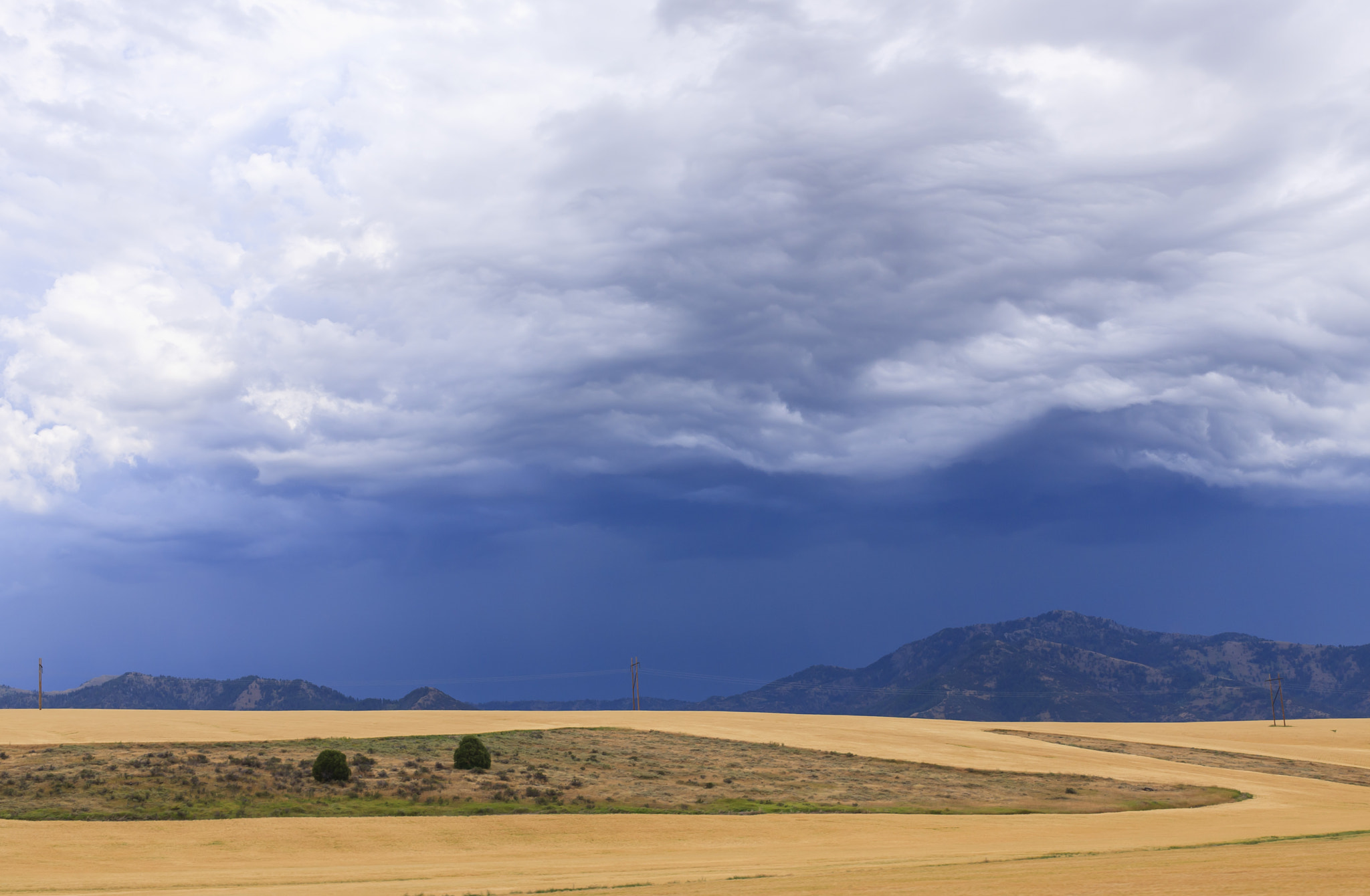 Canon EOS 5D + Canon EF 50mm F1.4 USM sample photo. Colour of storm photography