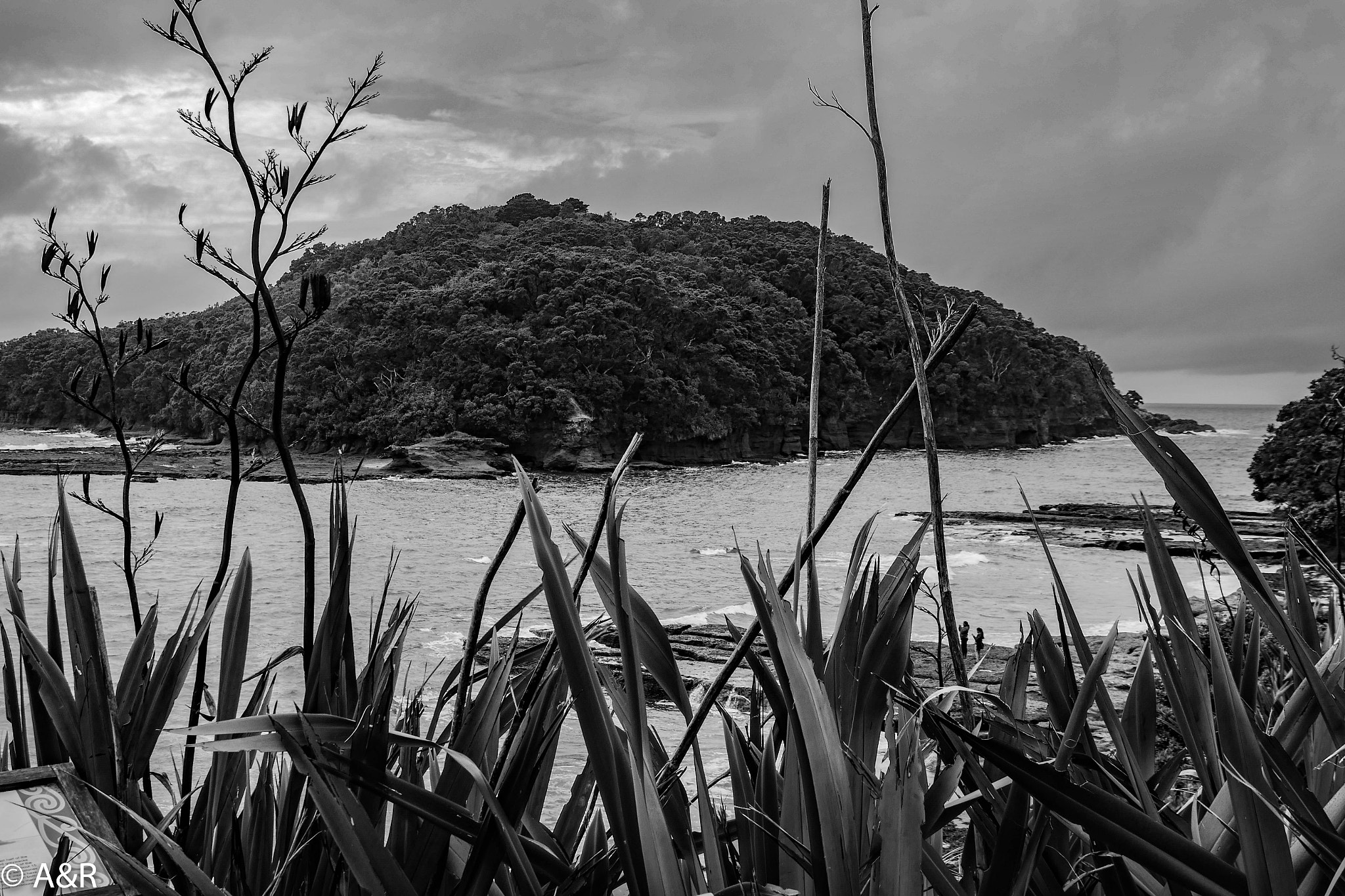Panasonic Lumix DMC-GX8 sample photo. Goat island 2 photography