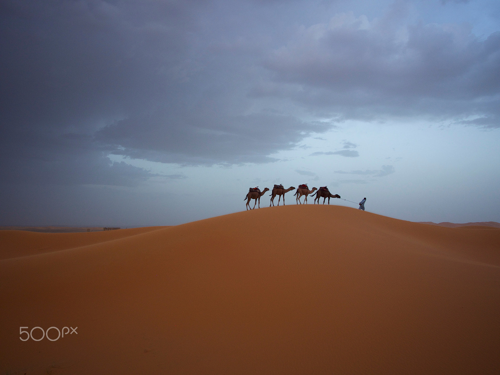 Olympus PEN E-P5 + Panasonic Lumix G Vario 7-14mm F4 ASPH sample photo. Desert photography