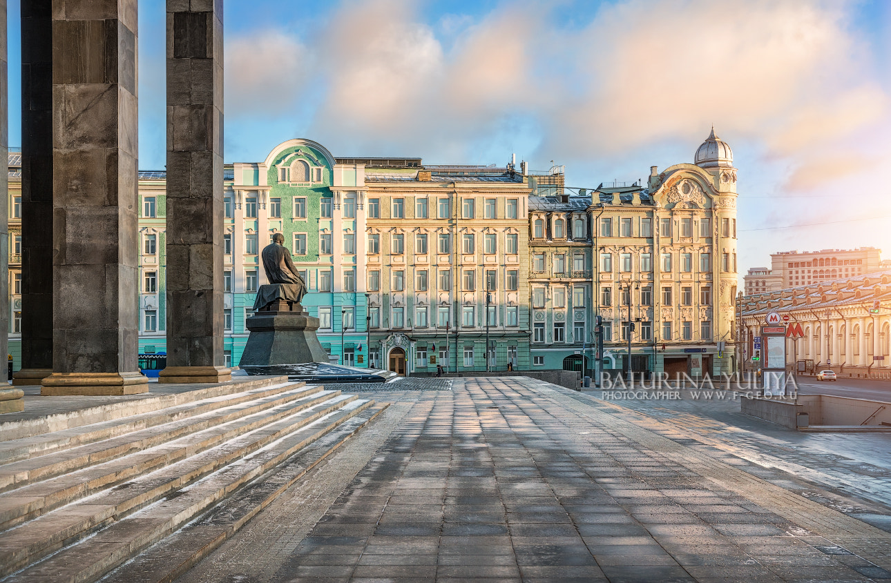 Nikon D800 sample photo. Library and a monument to dostoevsky photography