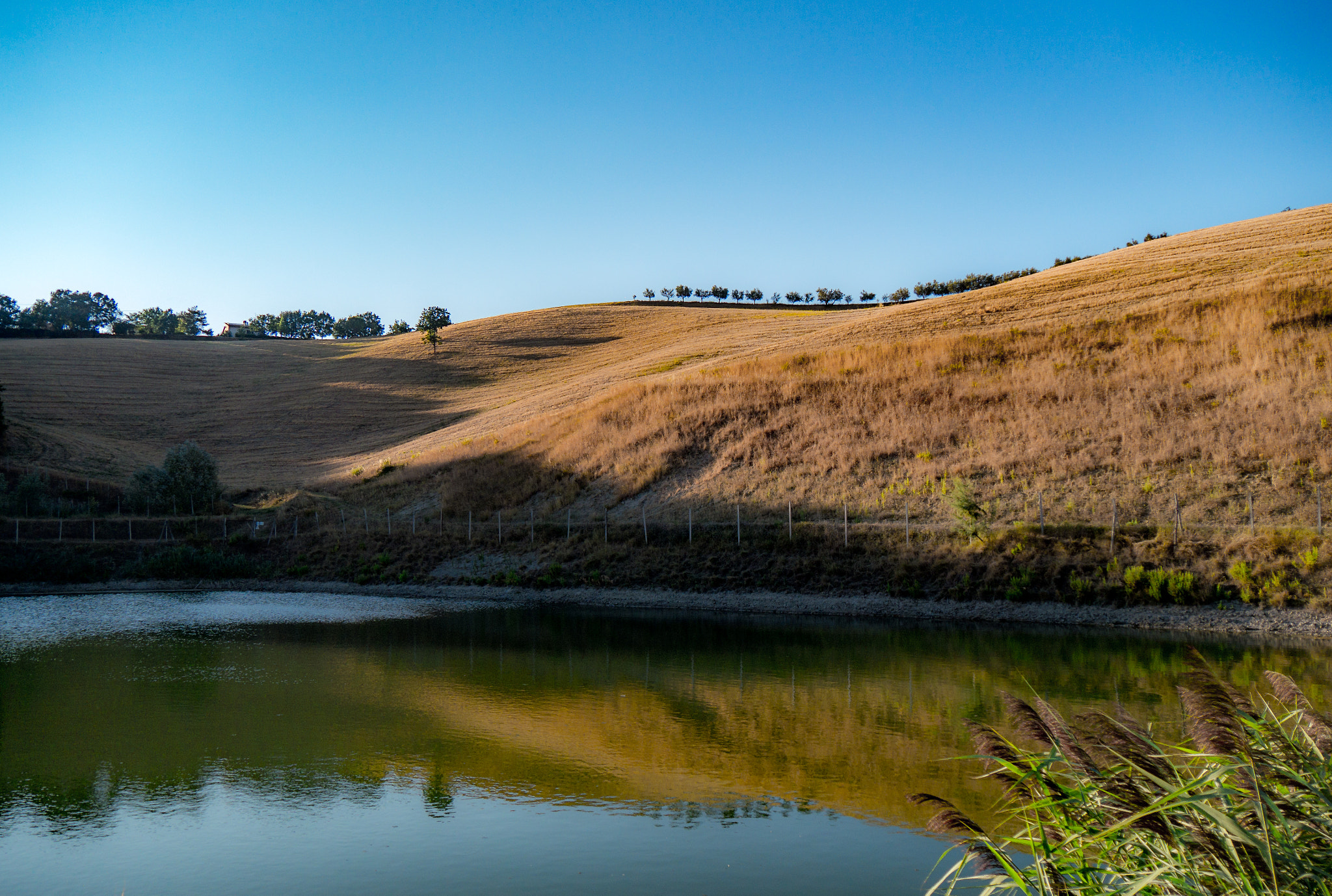 Panasonic Lumix DMC-G6 sample photo. Reflections in the afternoon photography