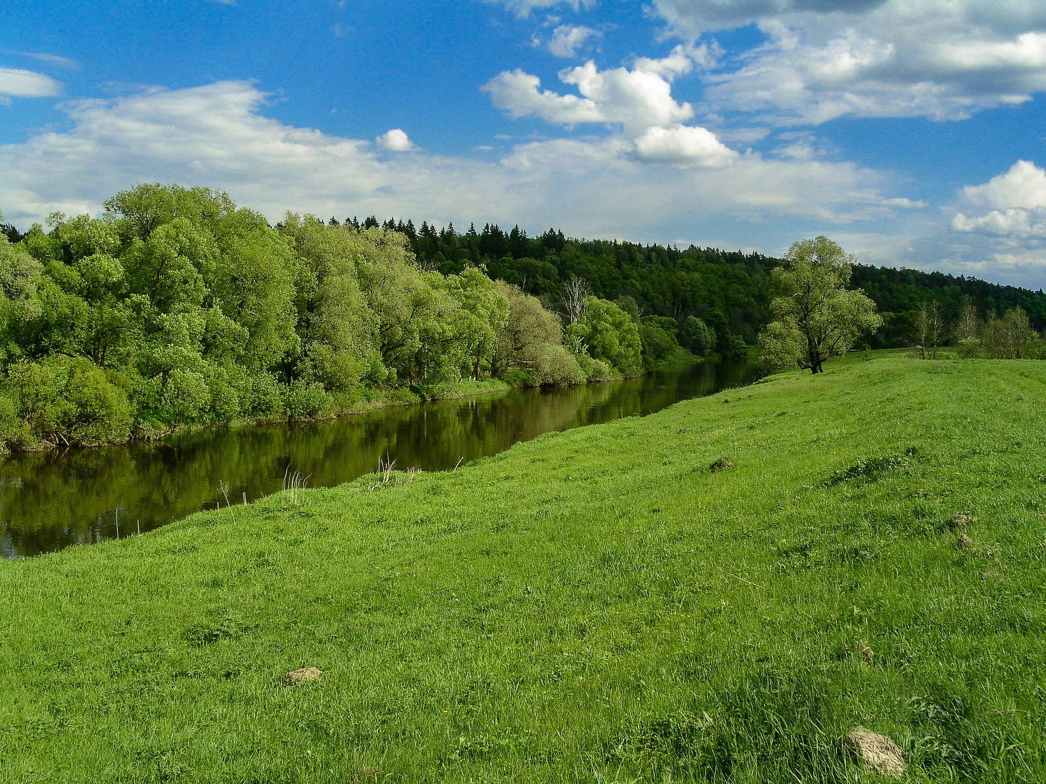 KONICA MINOLTA DiMAGE F300 sample photo. The usual landscape near moscow. the river istra. photography