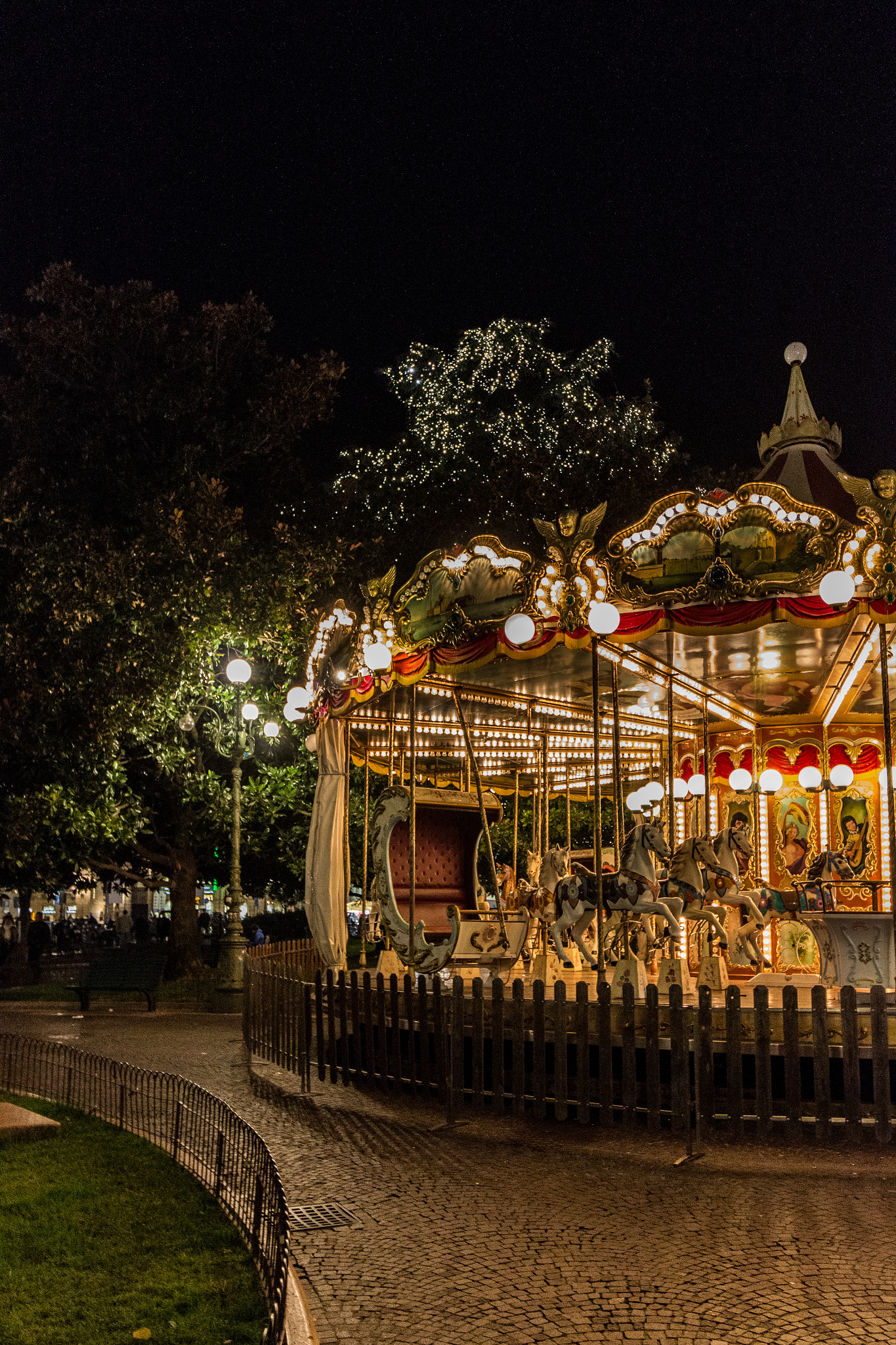 Canon EOS 100D (EOS Rebel SL1 / EOS Kiss X7) + Canon EF-S 10-18mm F4.5–5.6 IS STM sample photo. Verona's carousel photography