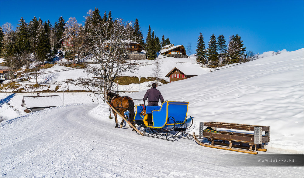 Sony a99 II sample photo. Horse-taxi in highh mountains ski resort photography