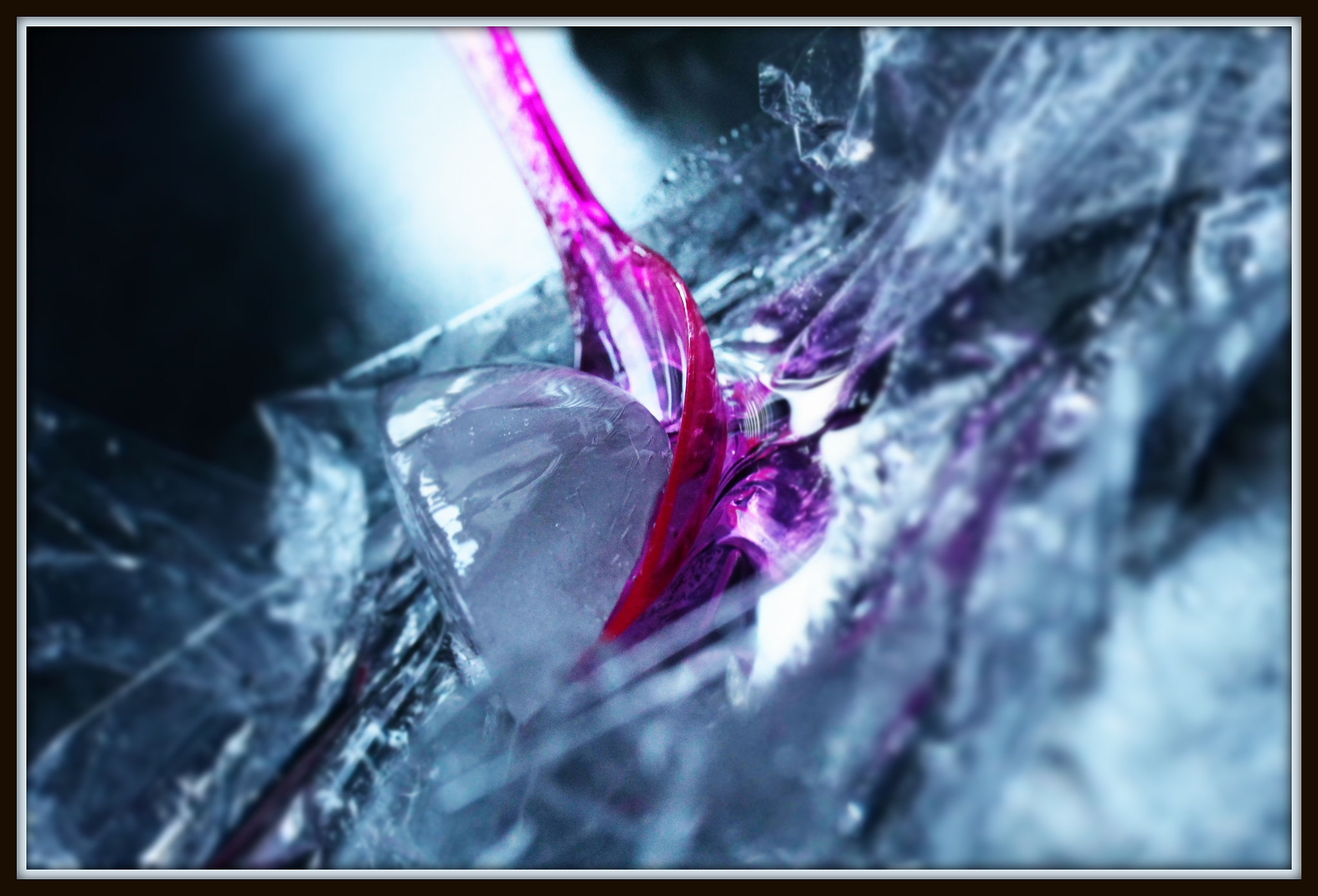 Canon EF-S 60mm F2.8 Macro USM sample photo. Like some ice photography
