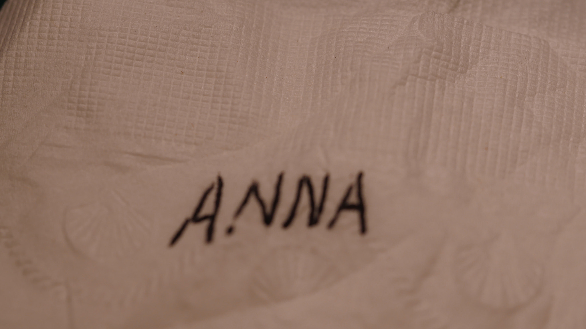 Panasonic Lumix DMC-GH4 sample photo. Anna photography