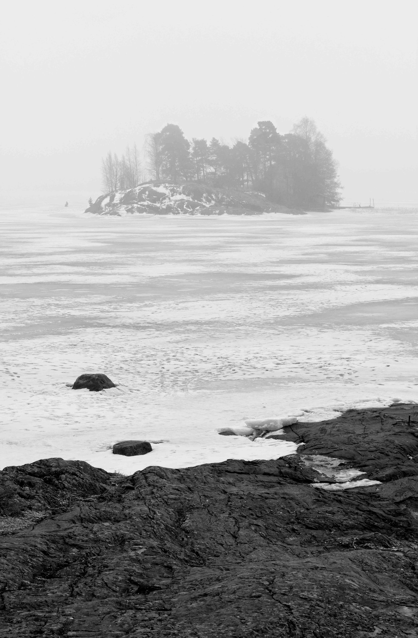 Nikon D7200 + Nikon AF-S Nikkor 50mm F1.4G sample photo. Foggy weather. photography