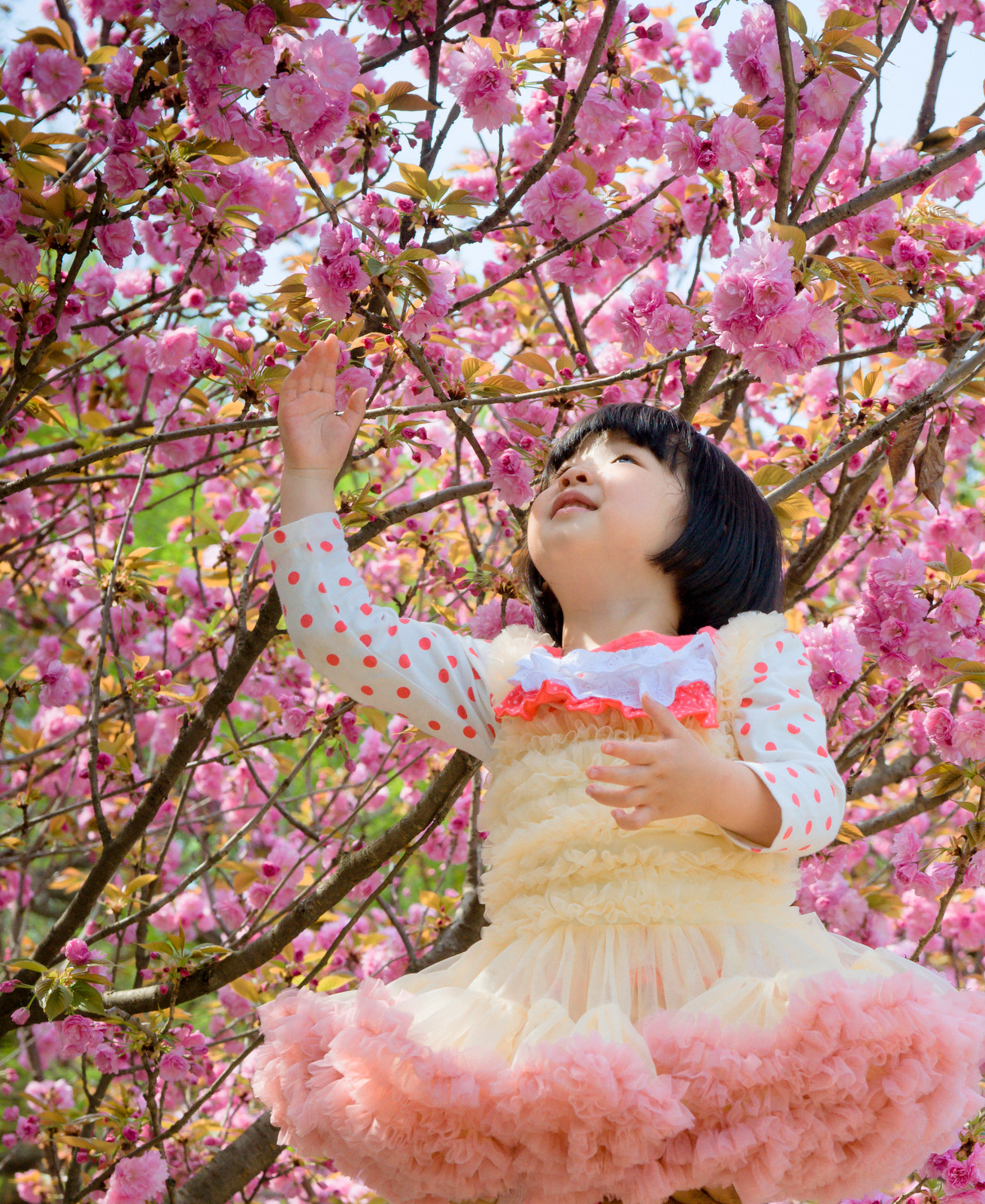 Sony Alpha DSLR-A900 sample photo