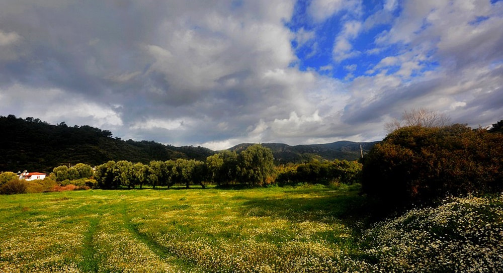 Sigma 10-20mm F4-5.6 EX DC HSM sample photo. Mazı village photography