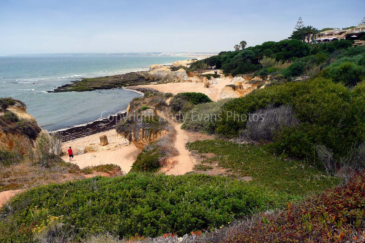 Panasonic DMC-TZ3 sample photo. Praia da gale, gale beach the algarve portugal photography