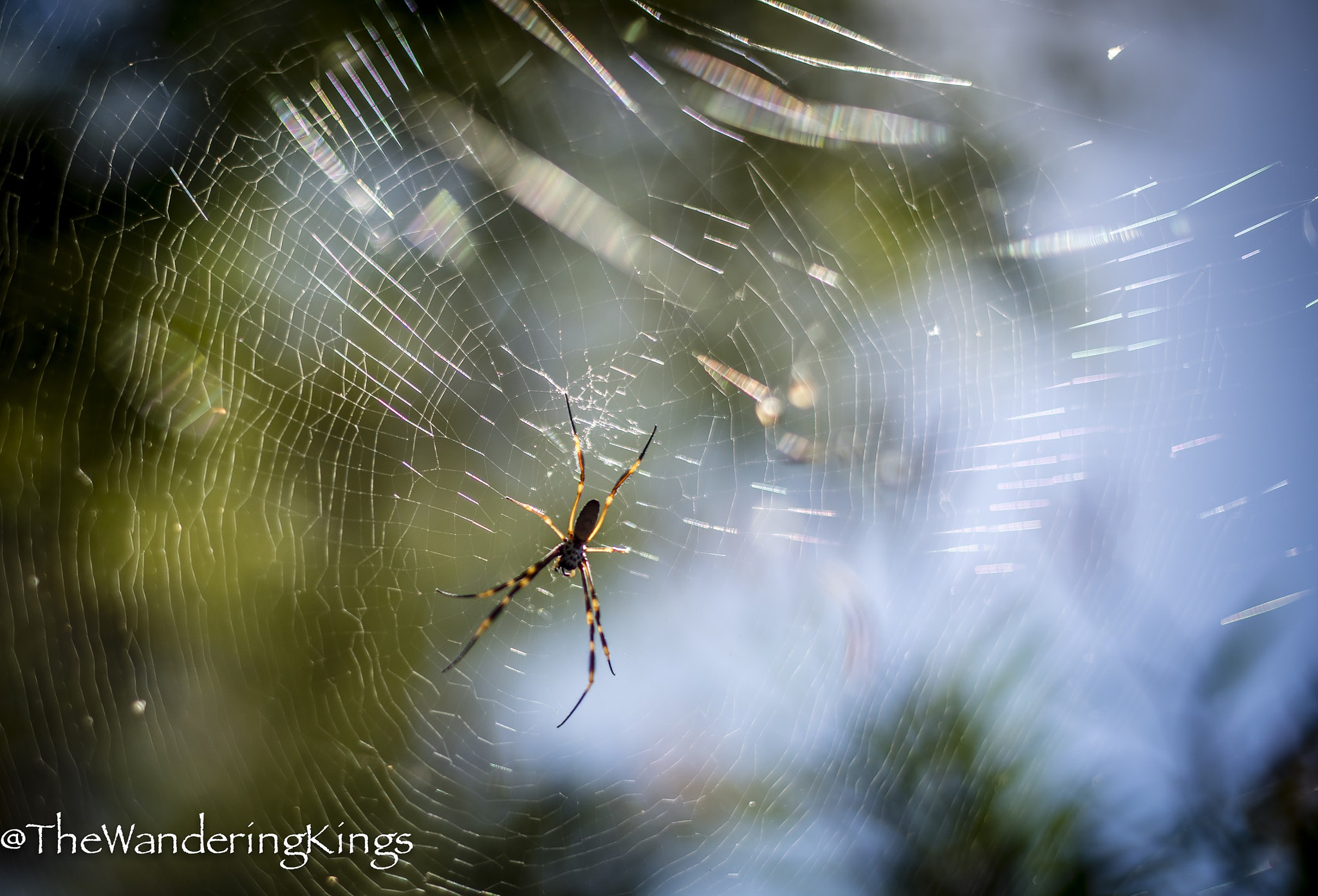 Nikon D810 + Nikon AF-S Nikkor 50mm F1.4G sample photo. St andrews cross photography