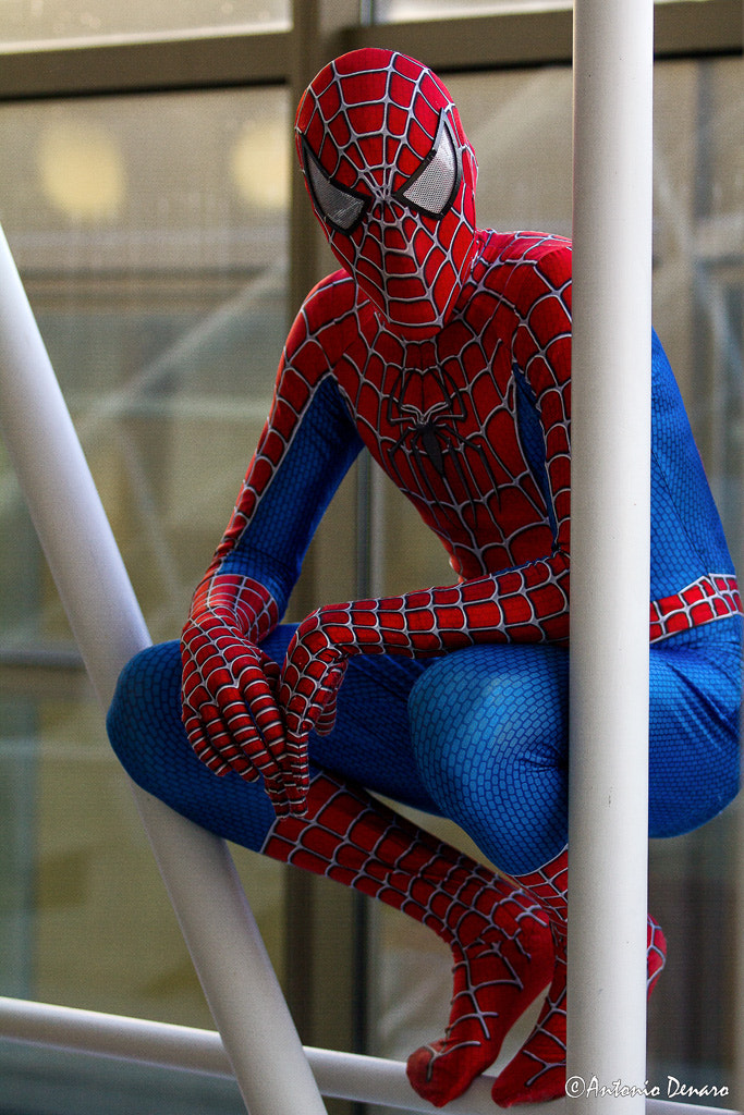 Canon EF 70-200mm F2.8L USM sample photo. Spiderman photography