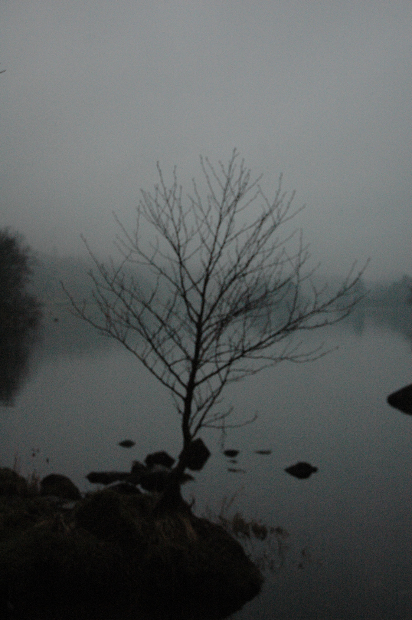 Nikon D70s sample photo. Rydal water photography