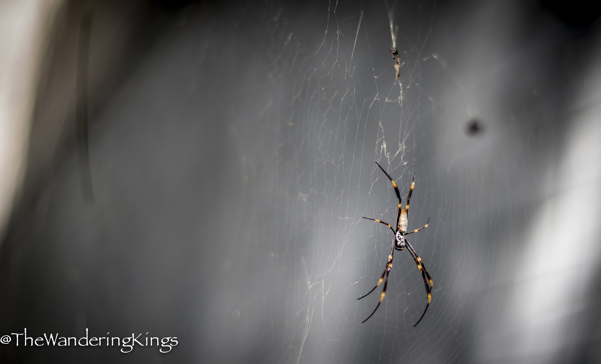 Nikon D810 + Nikon AF-S Nikkor 50mm F1.4G sample photo. Another st andrews cross photography