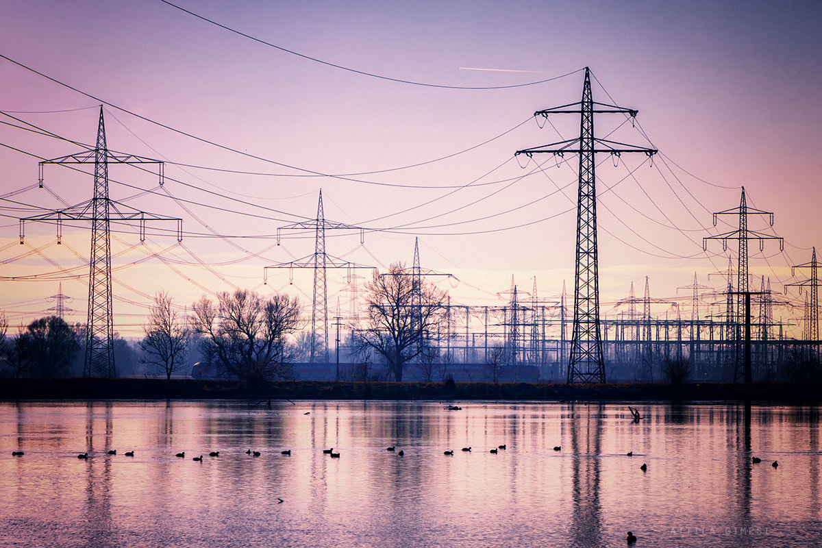 Canon EOS 80D + Canon EF 24-70mm F2.8L USM sample photo. Wires and ducks photography