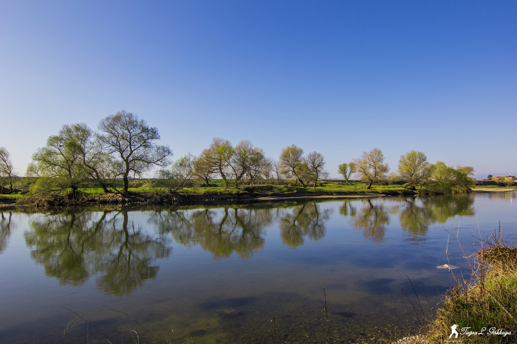 Canon EOS 60D sample photo. Img photography