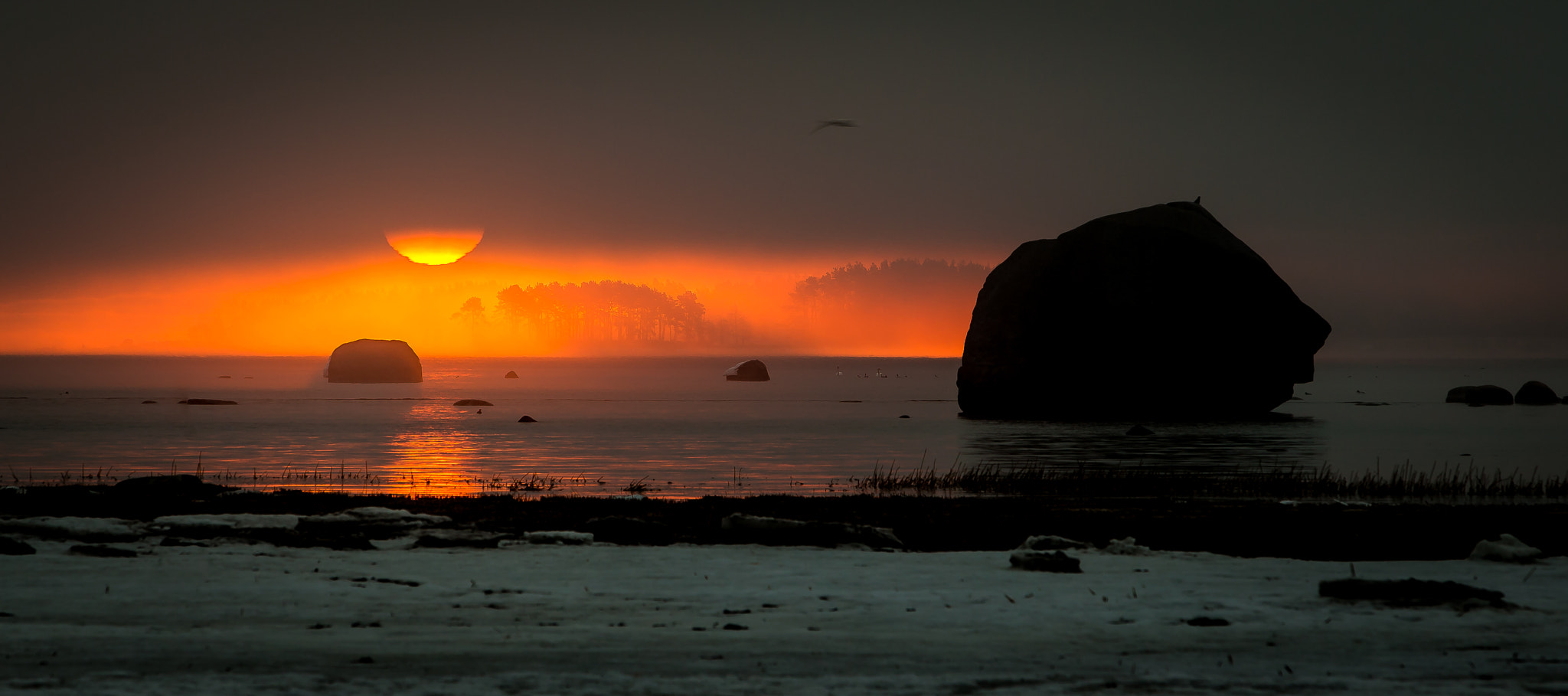 Canon EF 70-200mm F2.8L USM sample photo. Misty sunrise photography