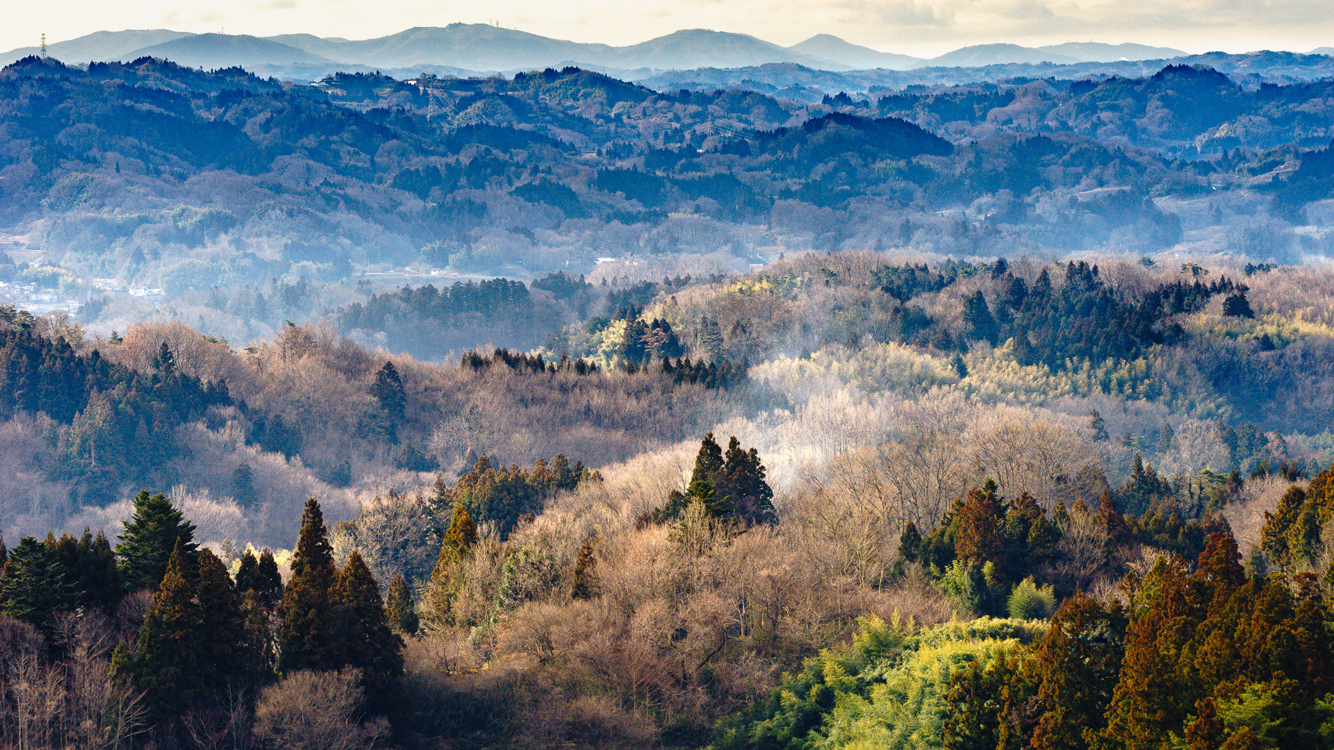 Sony FE 70-300mm F4.5-5.6 G OSS sample photo. Spring will come photography