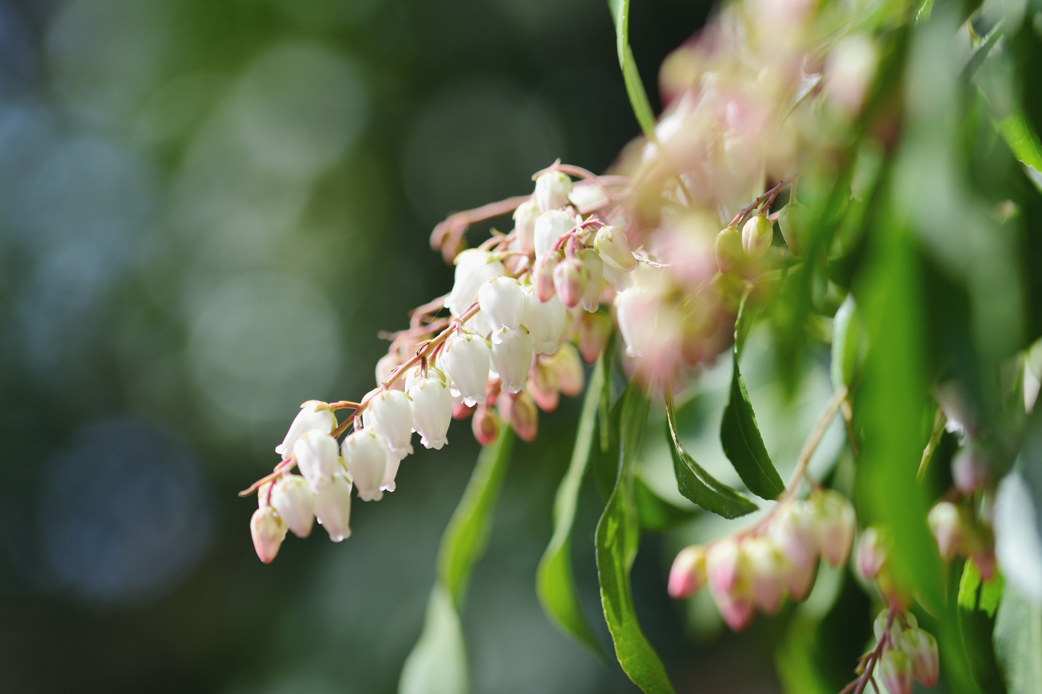 Sigma 105mm F2.8 EX DG OS HSM sample photo