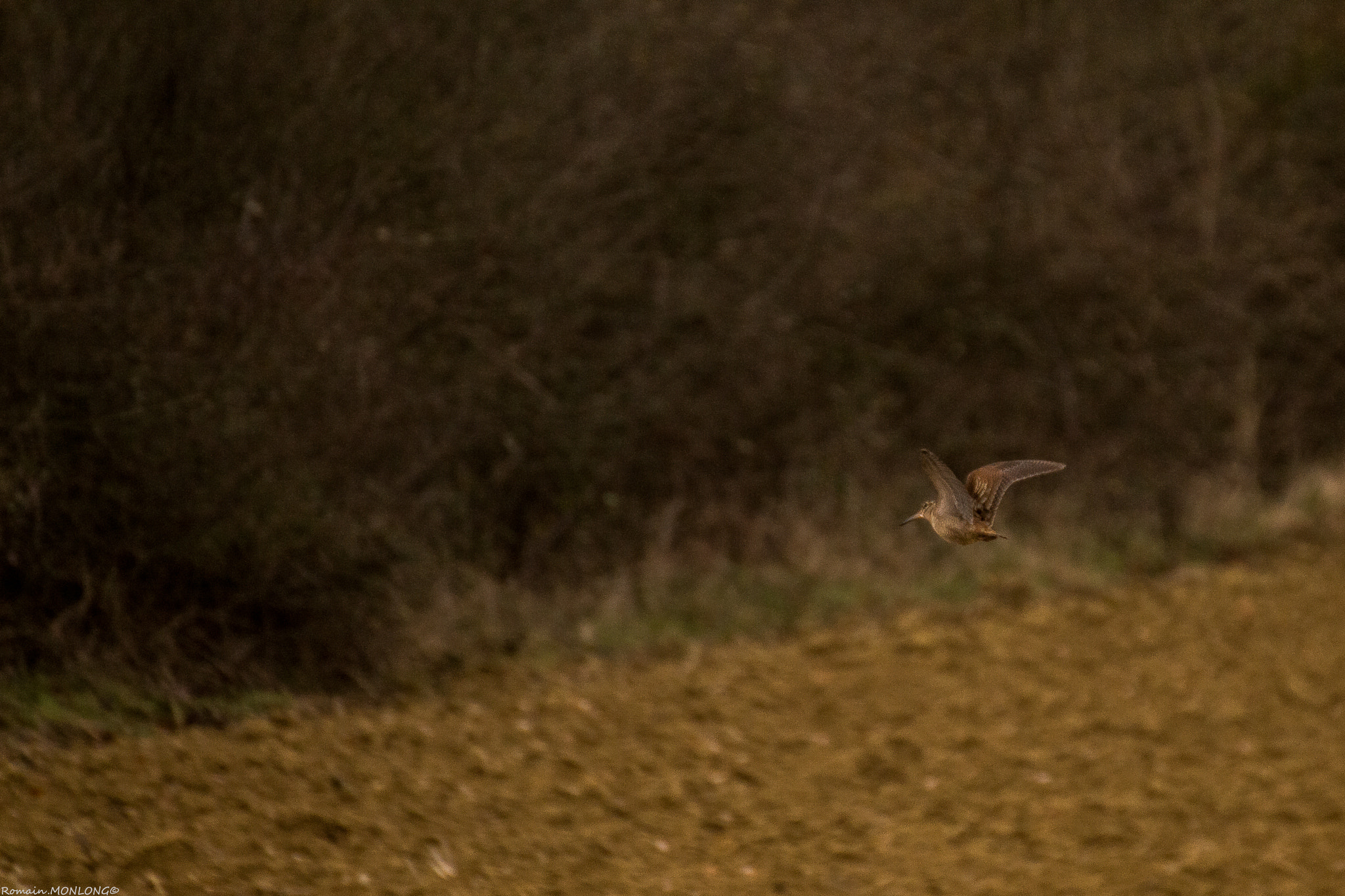 Canon EOS 700D (EOS Rebel T5i / EOS Kiss X7i) + Tamron SP 35mm F1.8 Di VC USD sample photo. Sur l'aile... photography