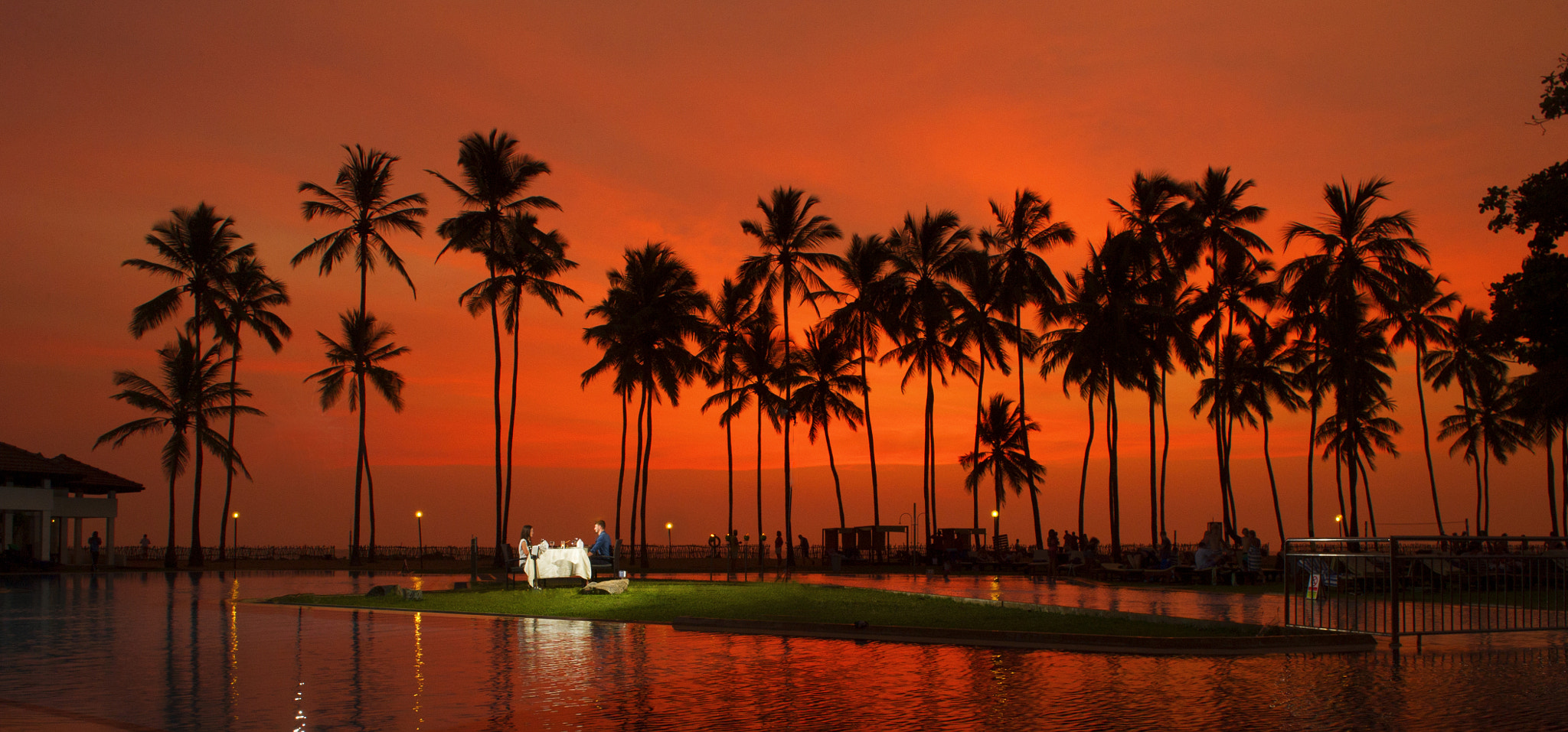 Nikon D3S sample photo. Club hotel dolphin photography
