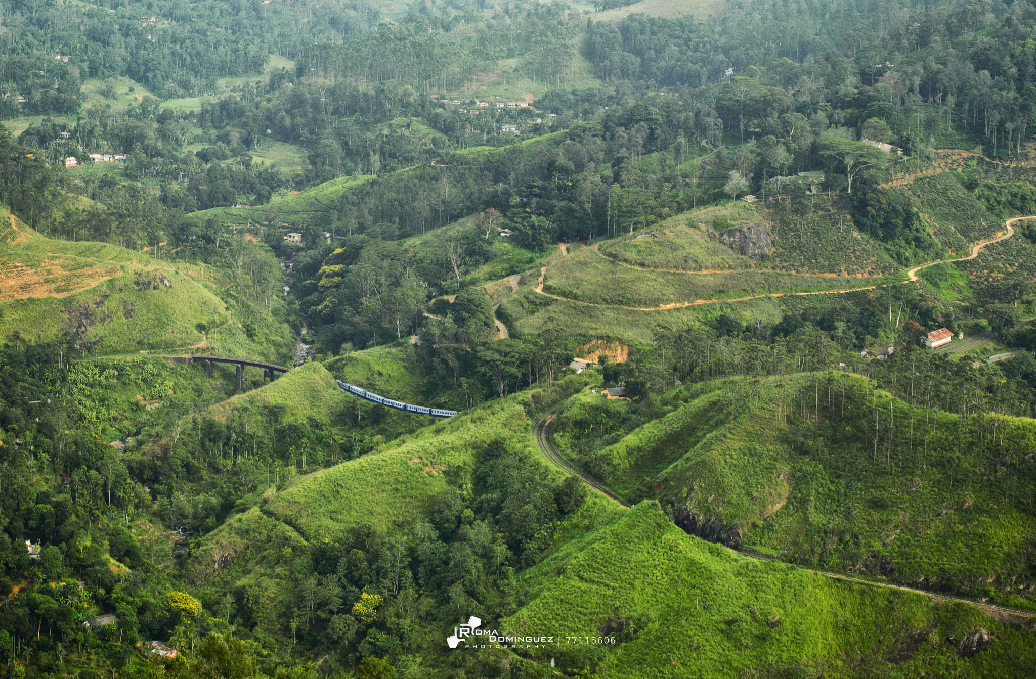 Nikon D610 + Sigma 35mm F1.4 DG HSM Art sample photo. Demodara railway loop photography